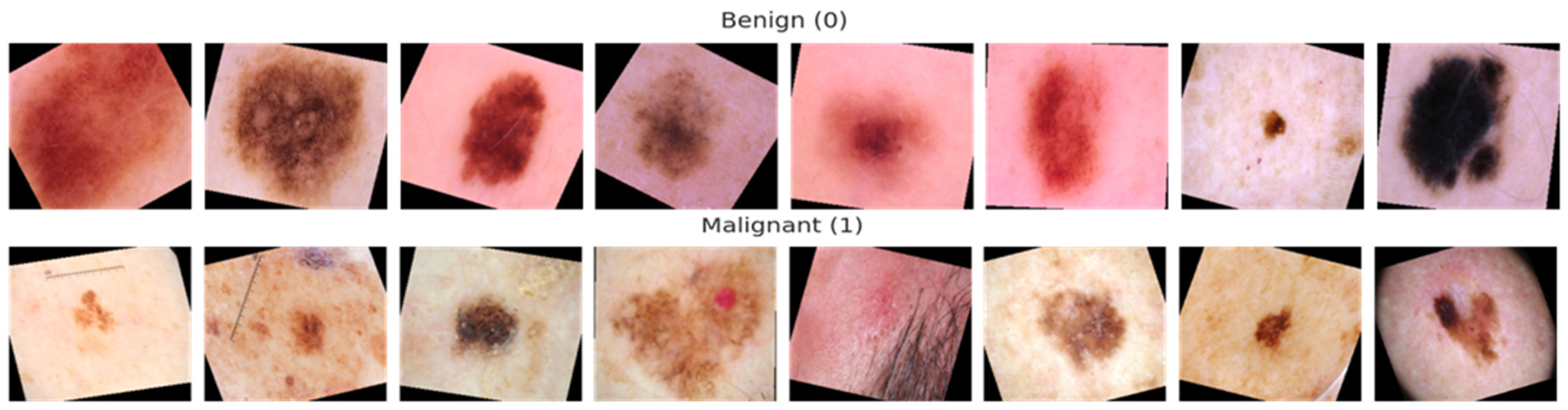 Diagnostics 13 02531 g003b Diagnostics 13 02531 g003b