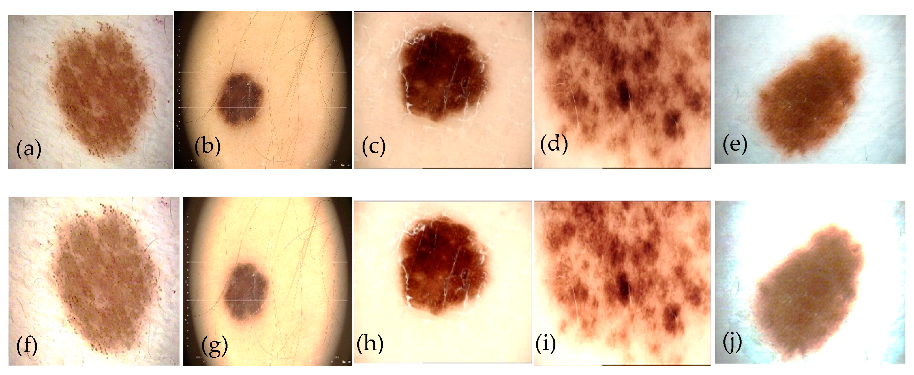 Diagnostics 13 02531 g004 Diagnostics 13 02531 g004