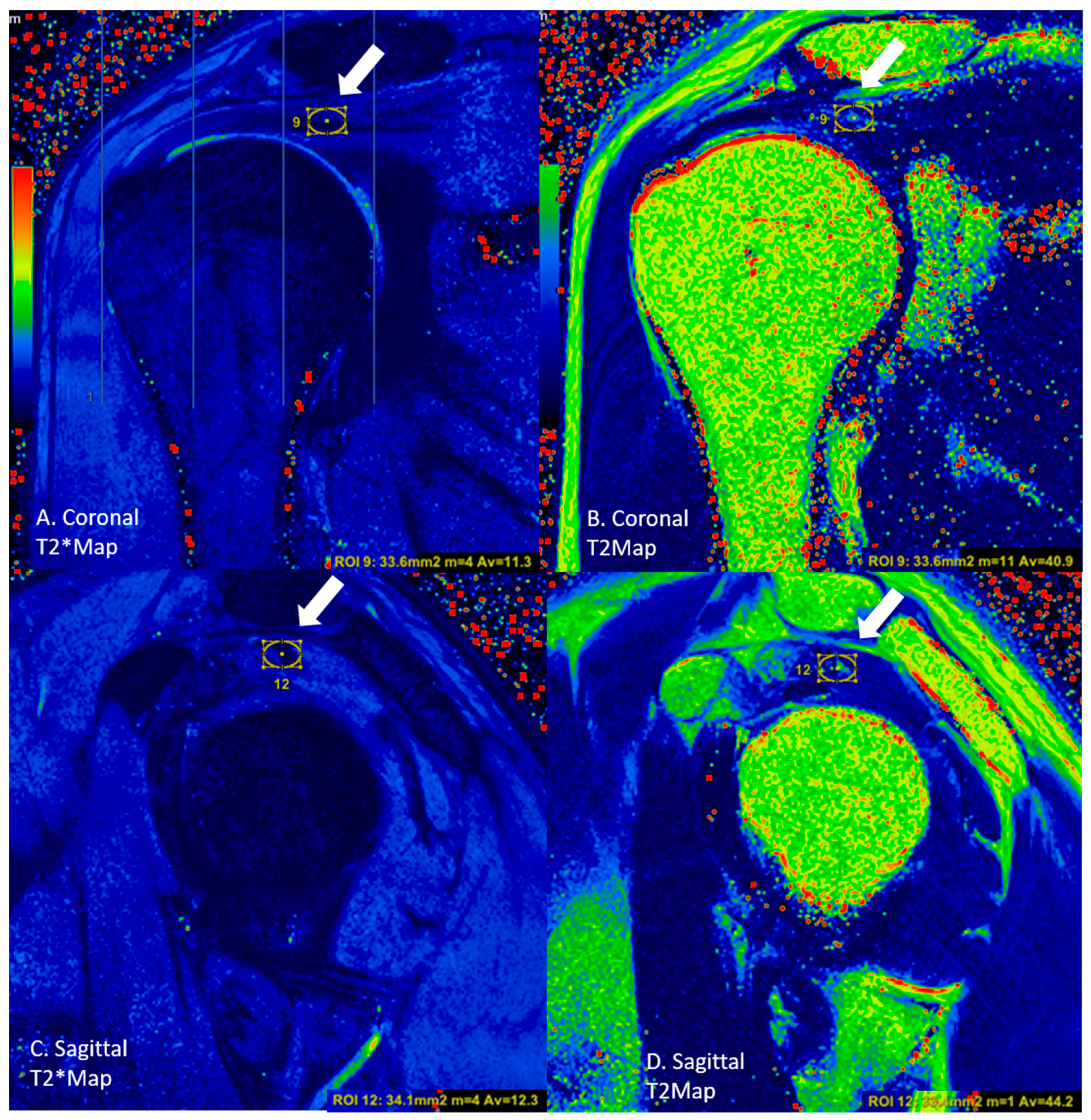 Diagnostics 13 02534 g005