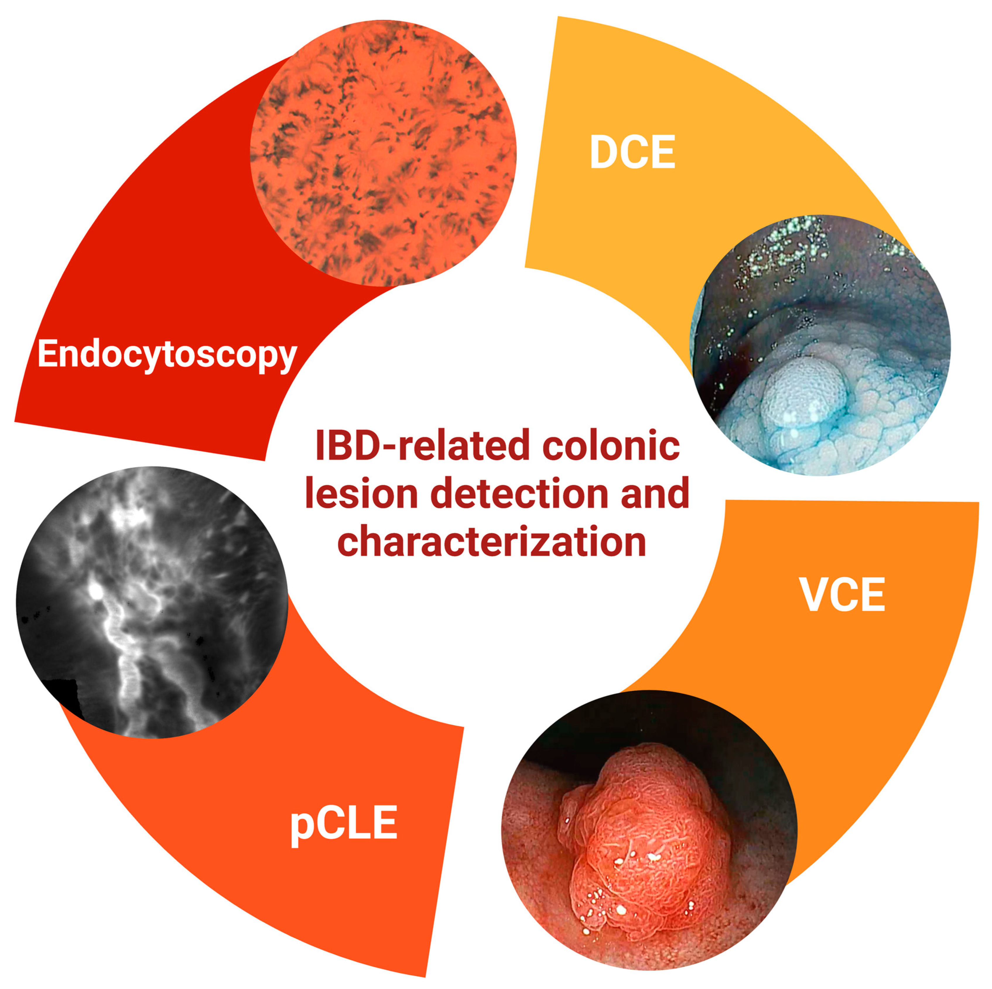 Diagnostics 13 02547 g001