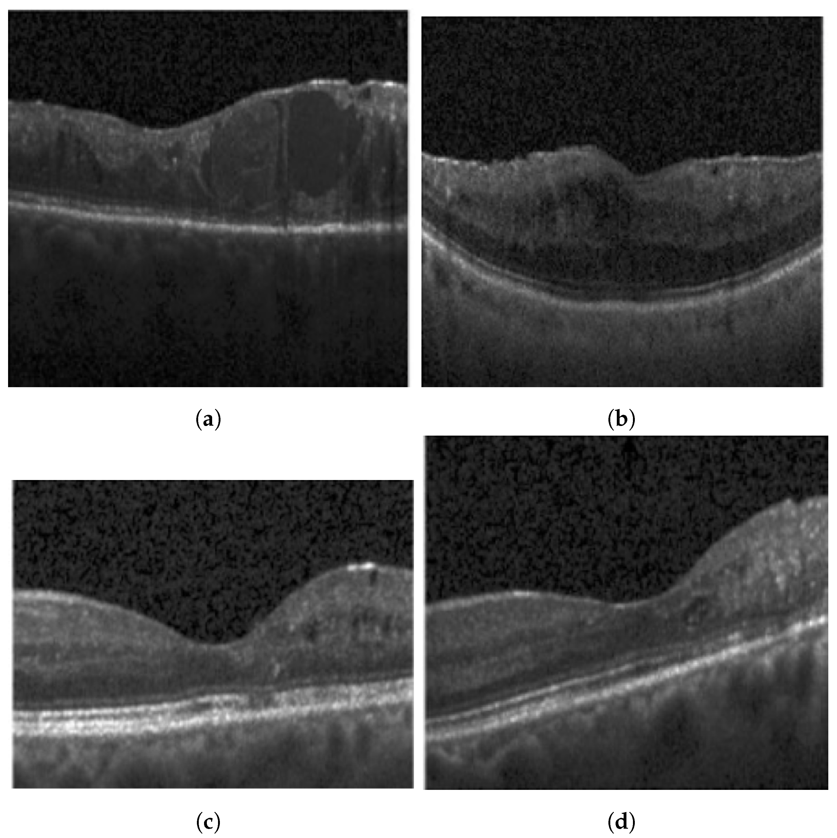 Diagnostics 13 02550 g008