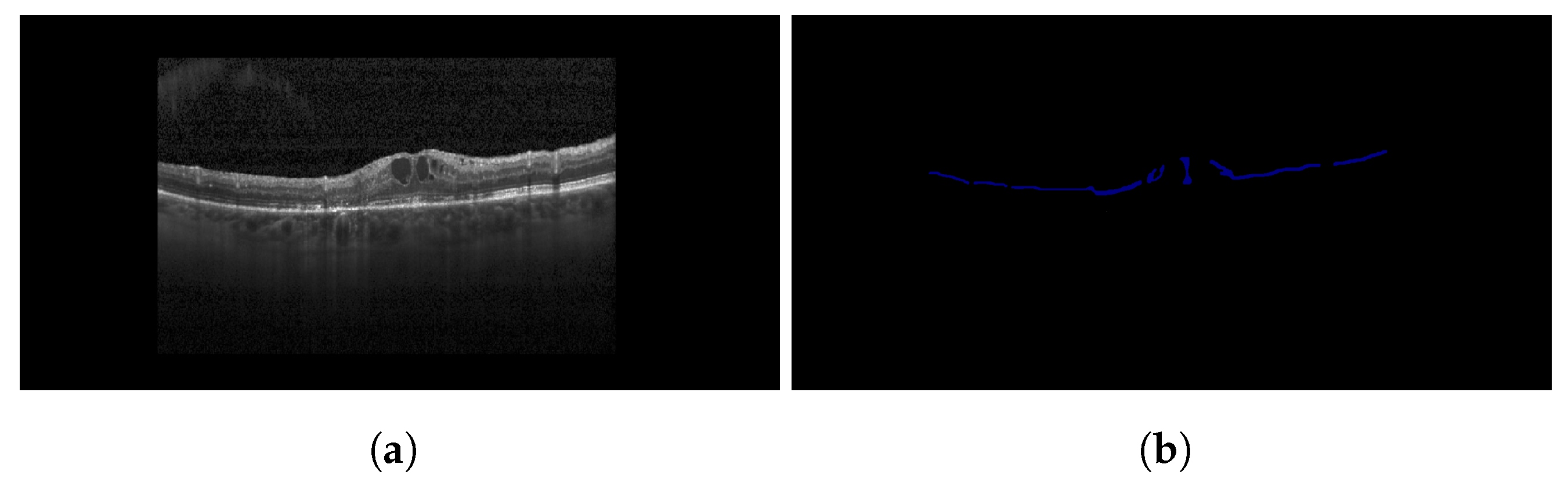 Diagnostics 13 02550 g011
