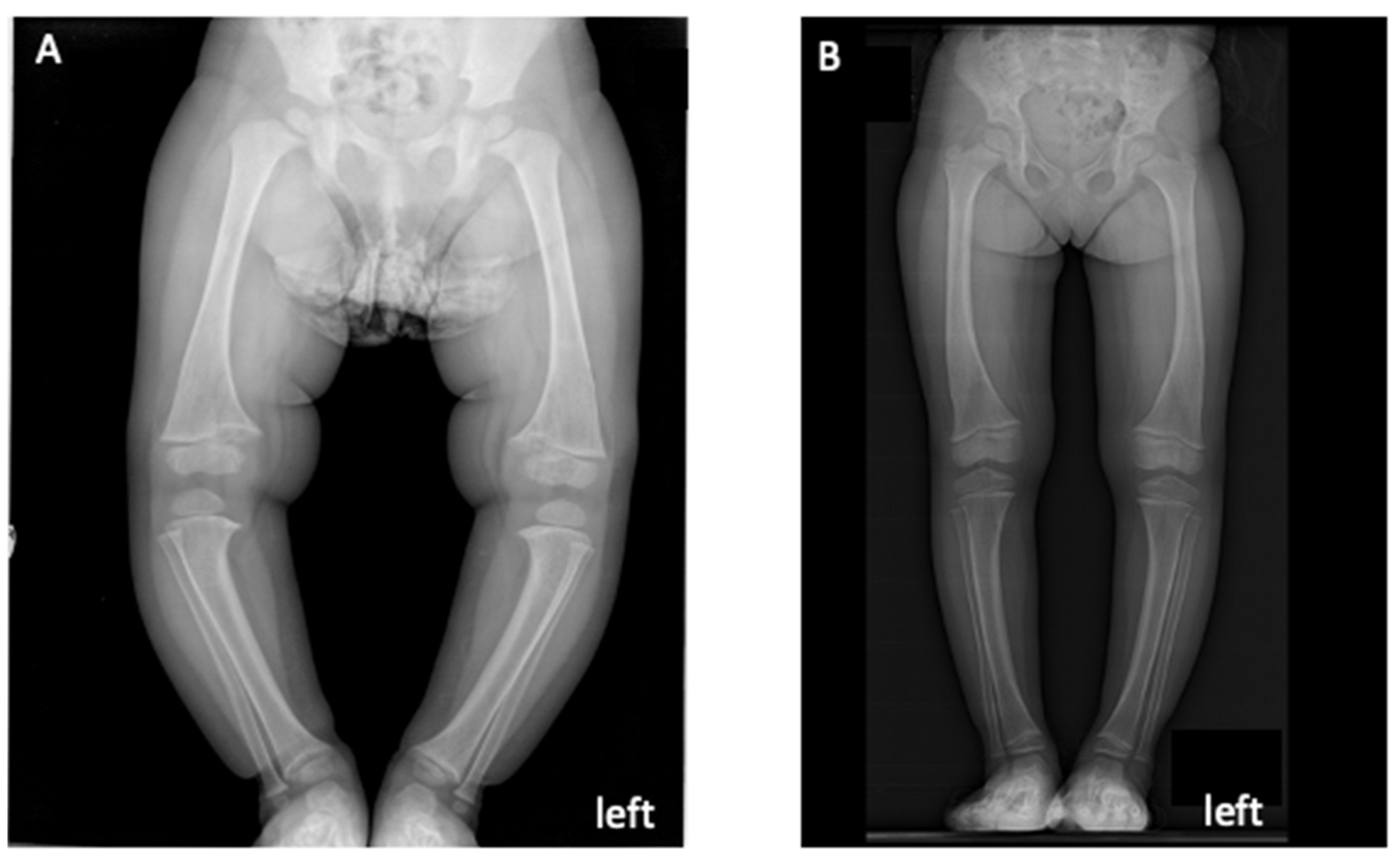 Diagnostics 13 02552 g001 Diagnostics 13 02552 g001