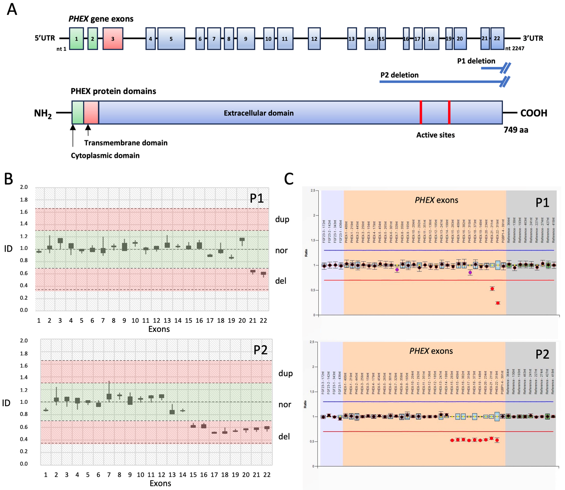 Diagnostics 13 02552 g002 Diagnostics 13 02552 g002