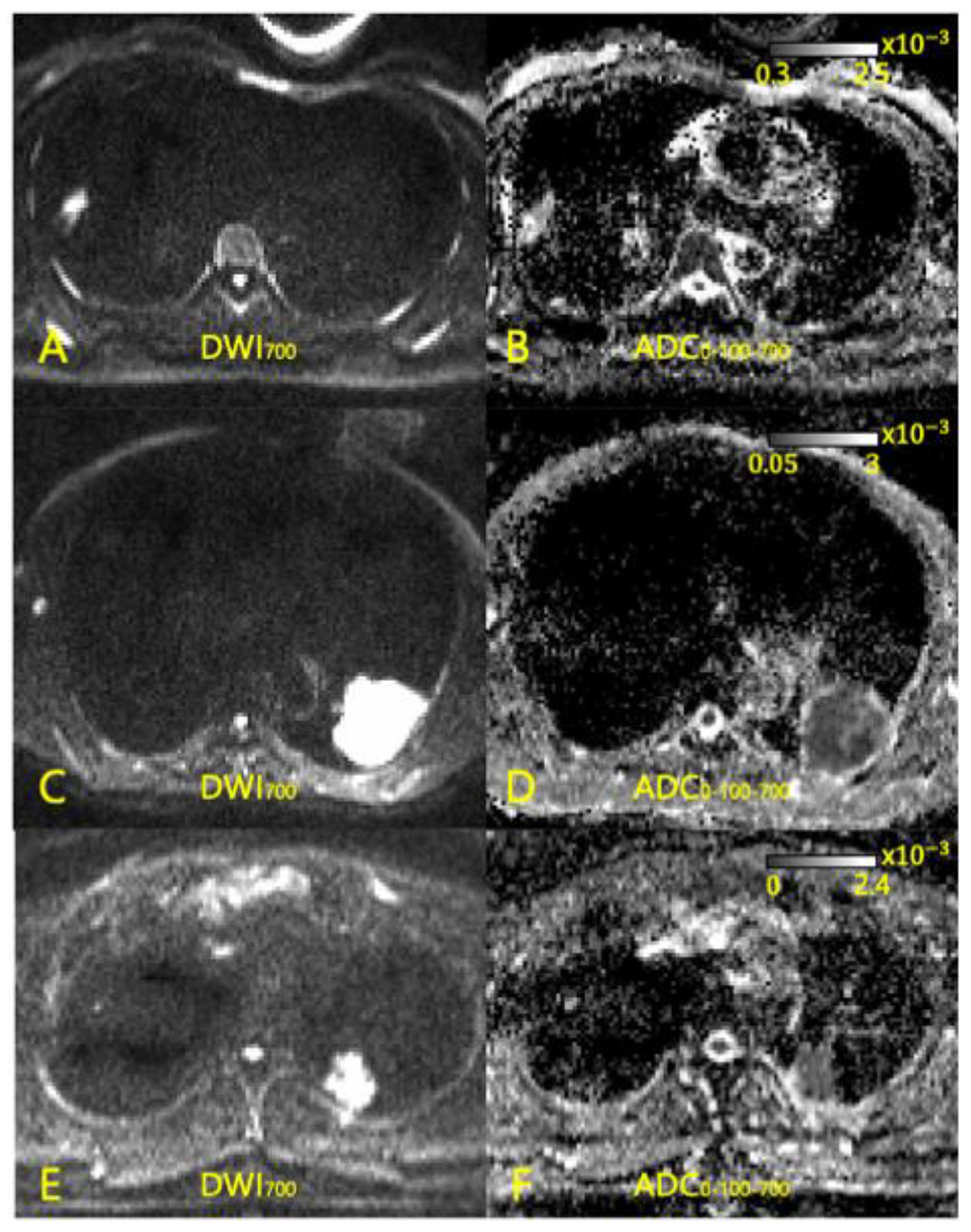 Diagnostics 13 02555 g002