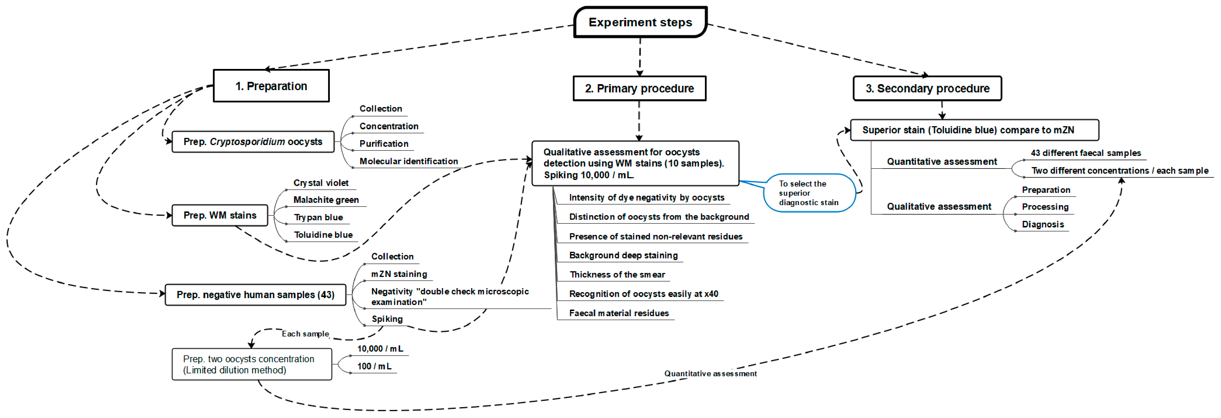 Diagnostics 13 02557 g001