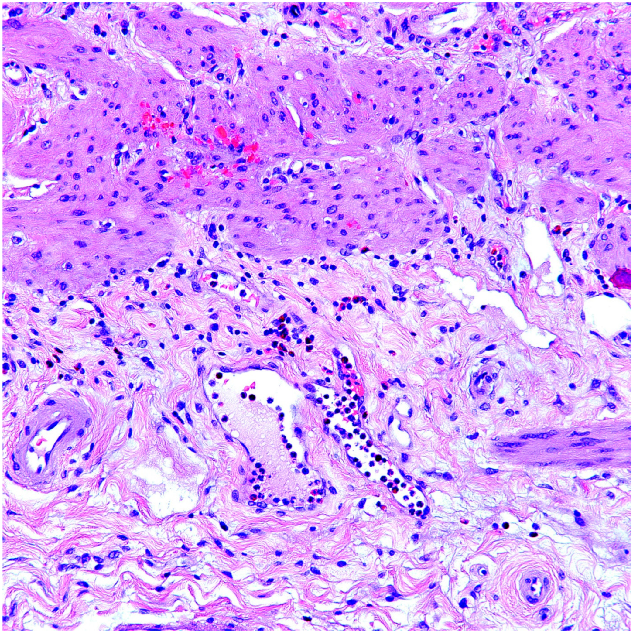 Diagnostics 13 02559 g003