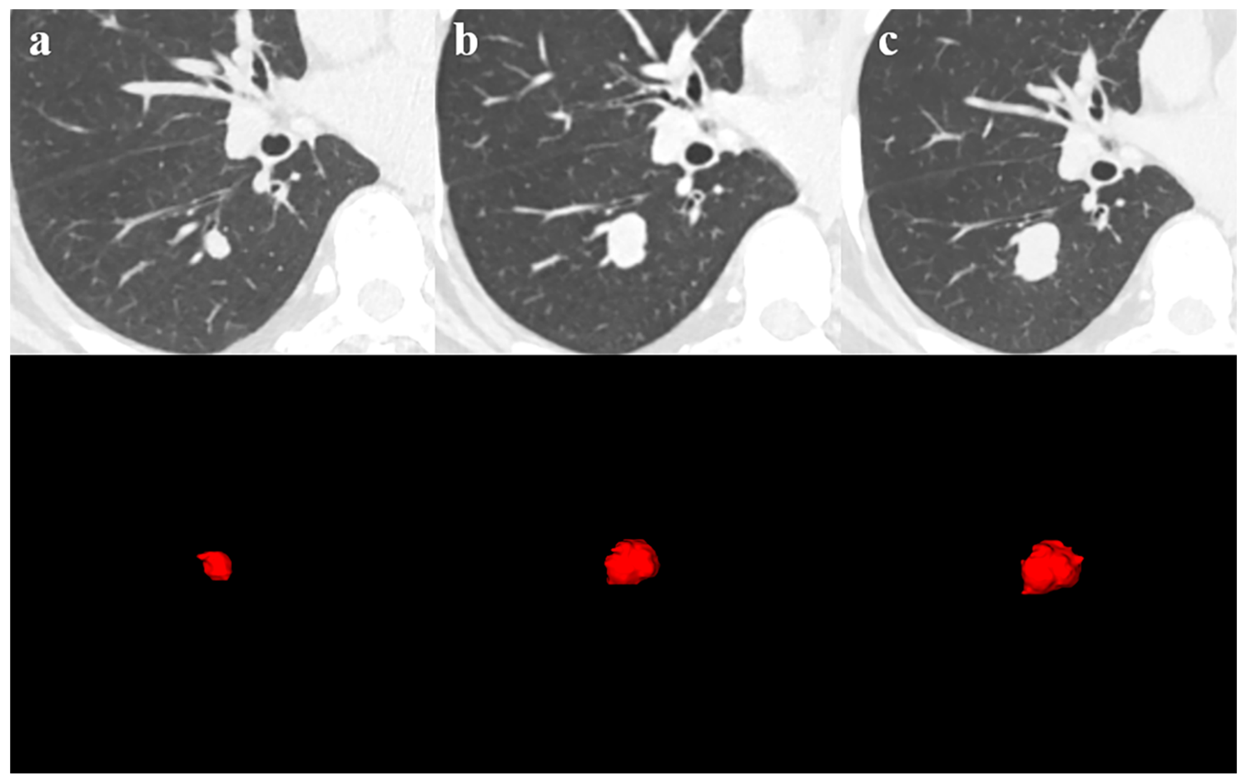 Diagnostics 13 02560 g002