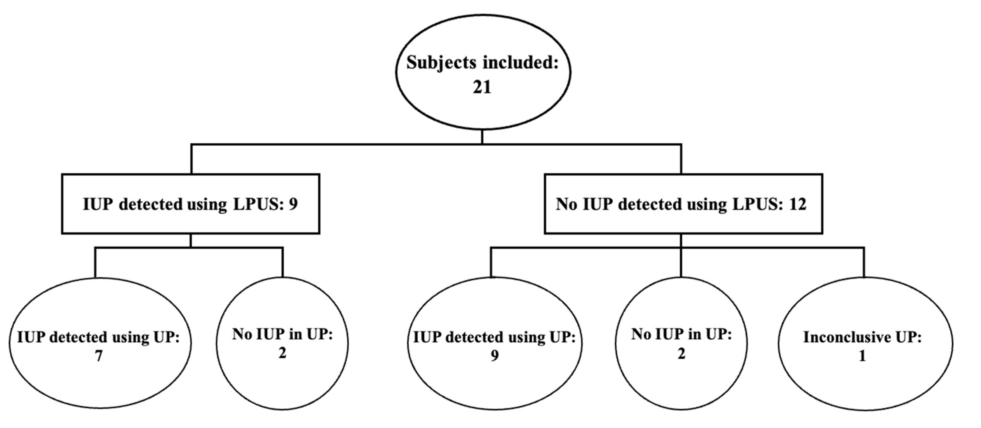 Diagnostics 13 02564 g001