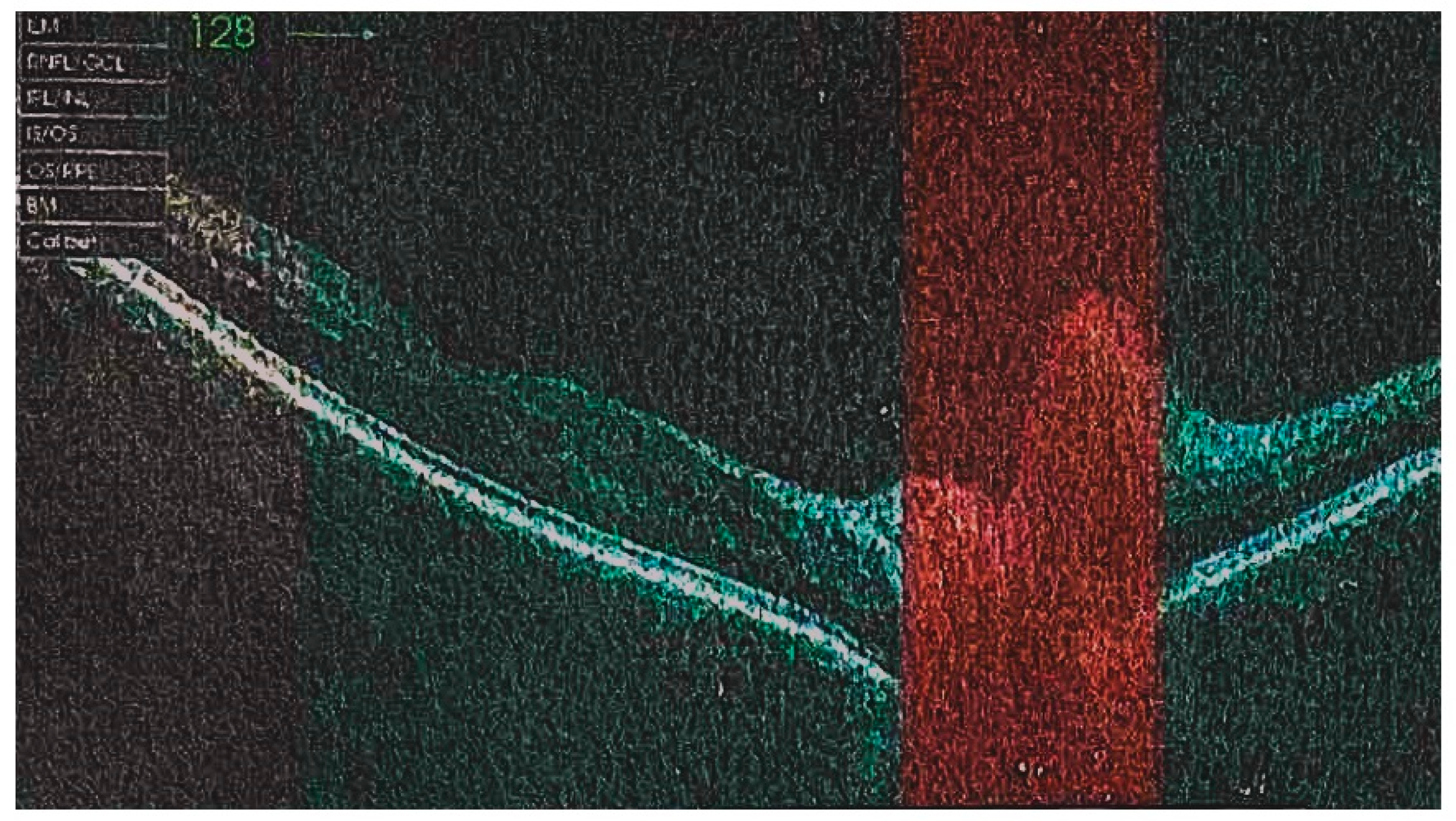 Diagnostics 13 02579 g001