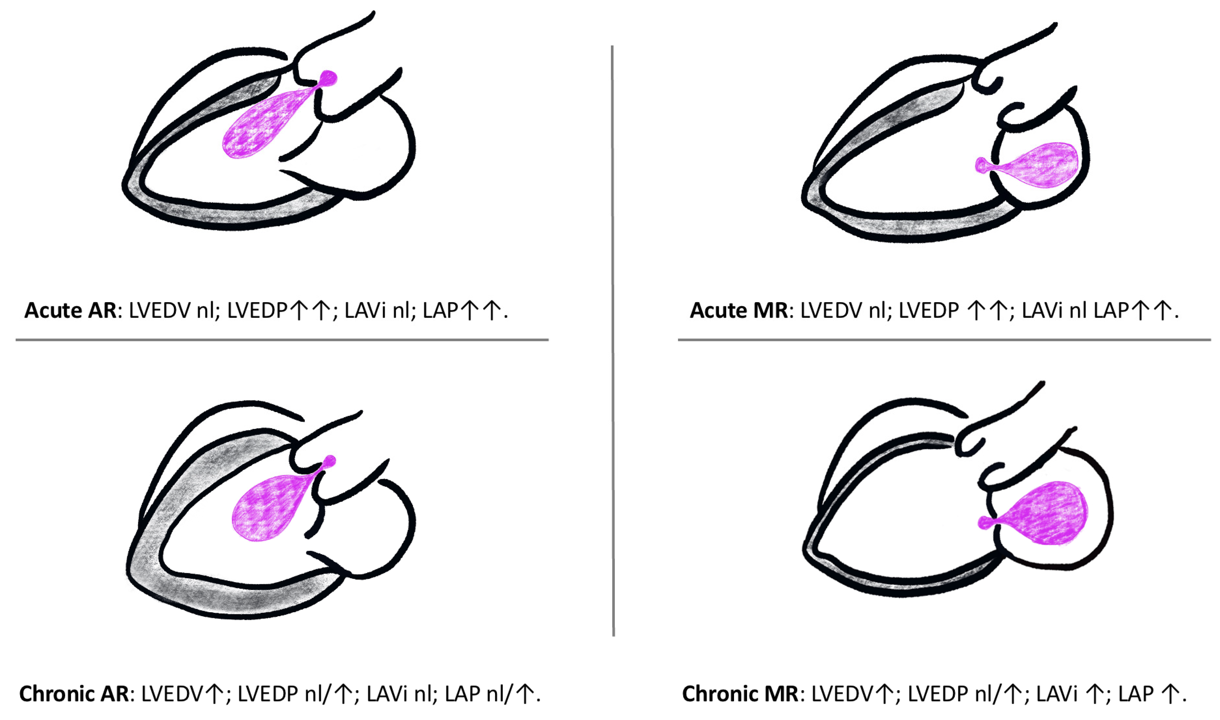 Diagnostics 13 02581 g001