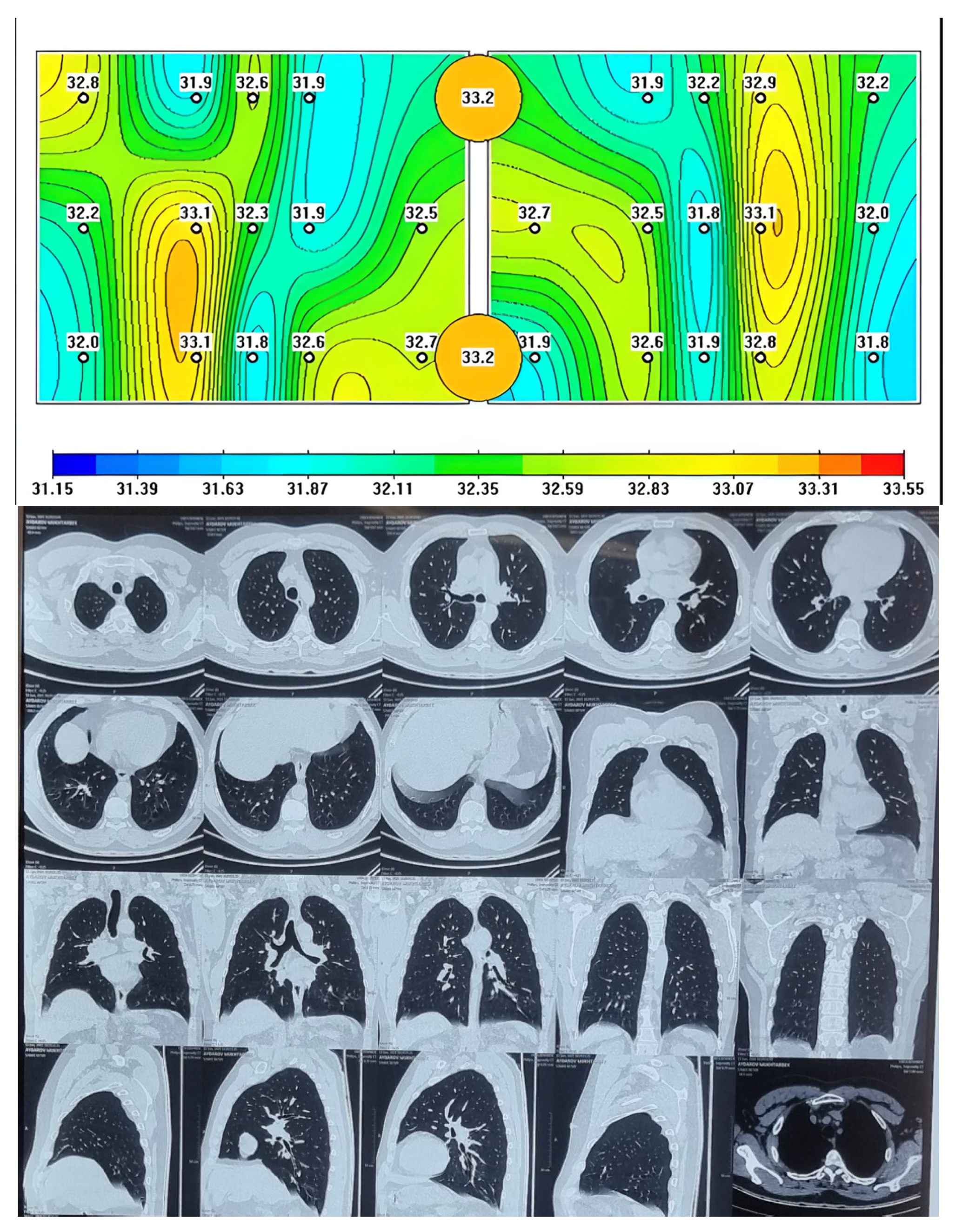Diagnostics 13 02585 g001