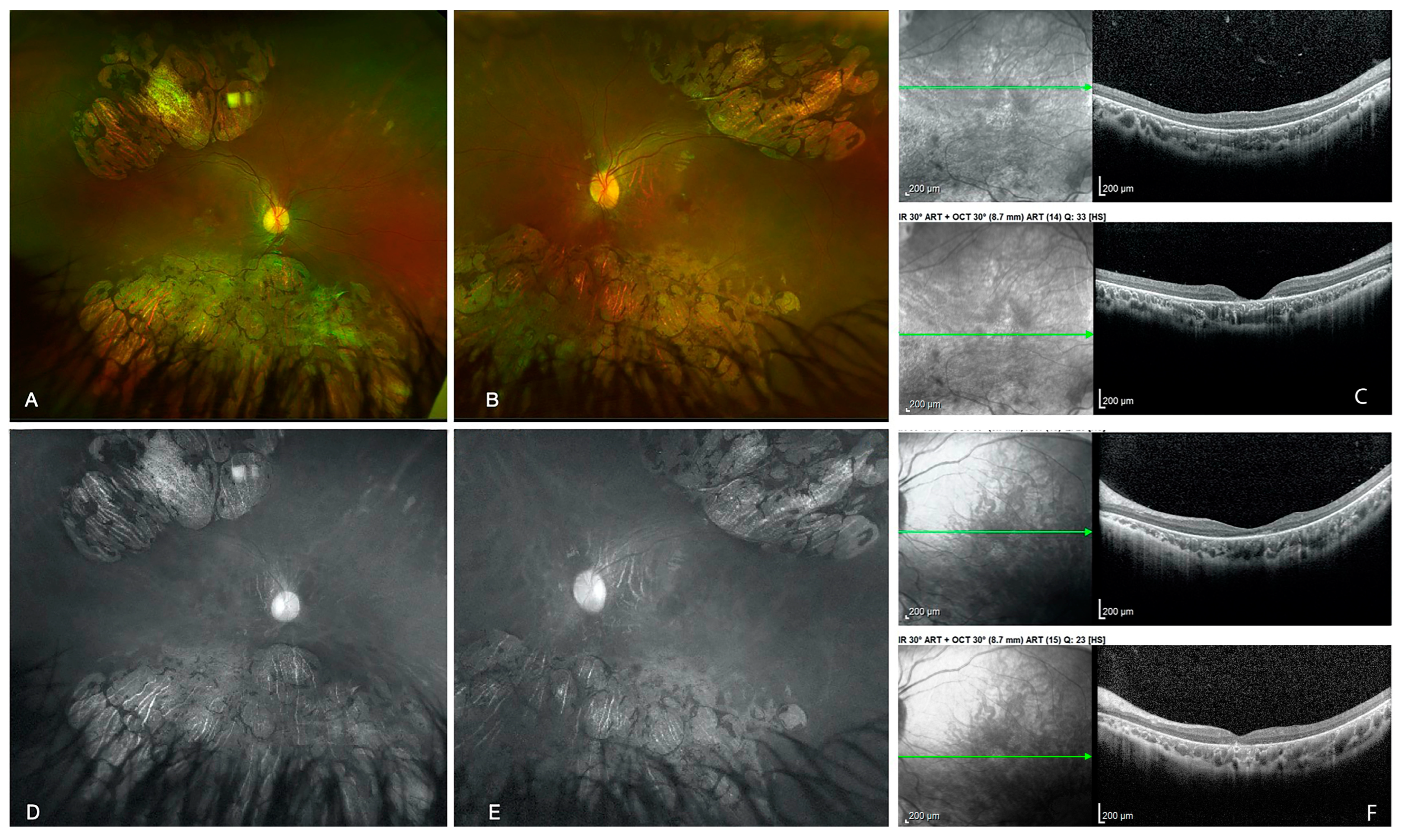 Diagnostics 13 02588 g001 Diagnostics 13 02588 g001