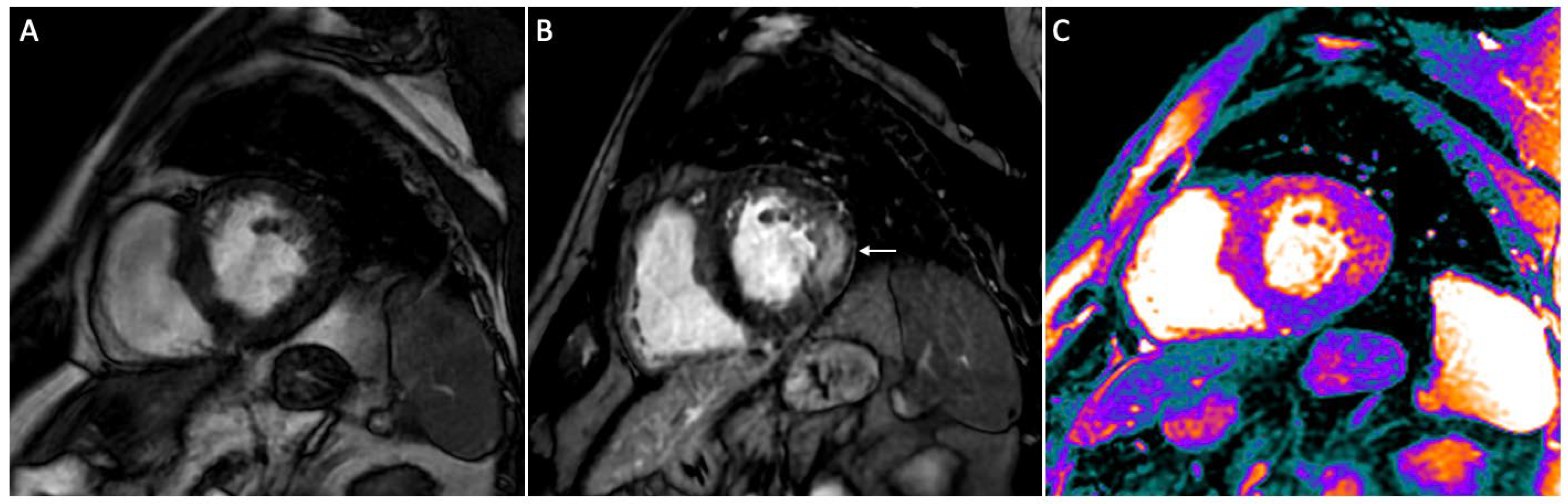Diagnostics 13 02598 g001 Diagnostics 13 02598 g001