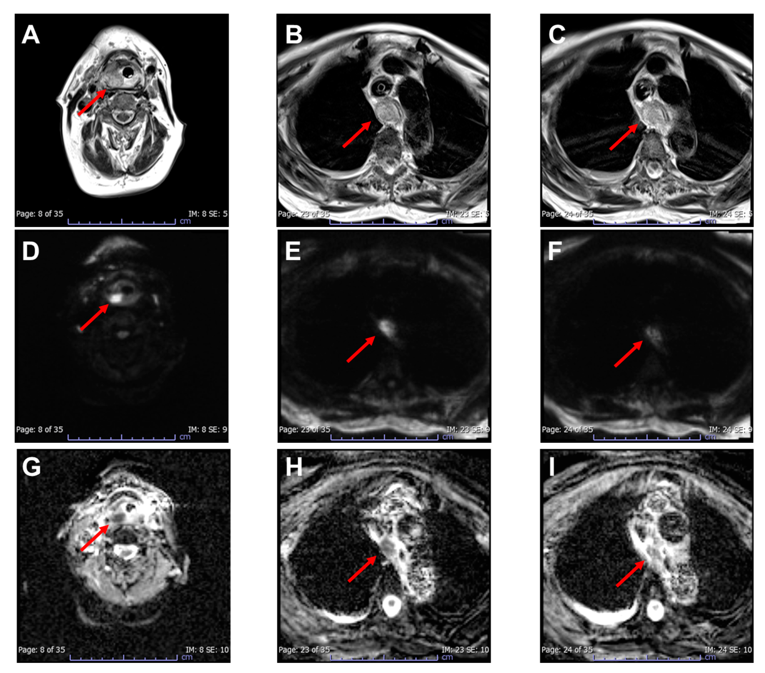 Diagnostics 13 02600 g004 Diagnostics 13 02600 g004
