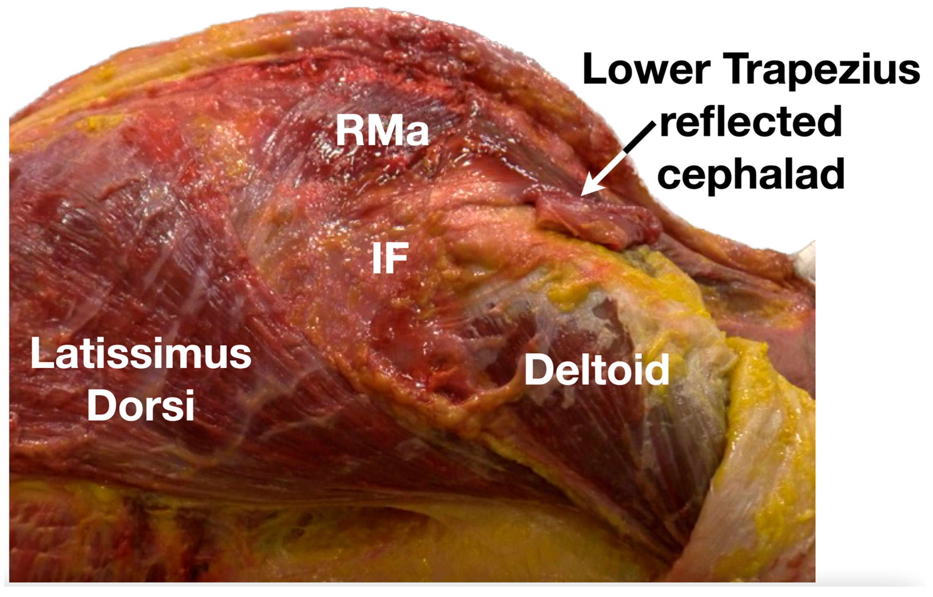 Diagnostics 13 02601 g006 Diagnostics 13 02601 g006