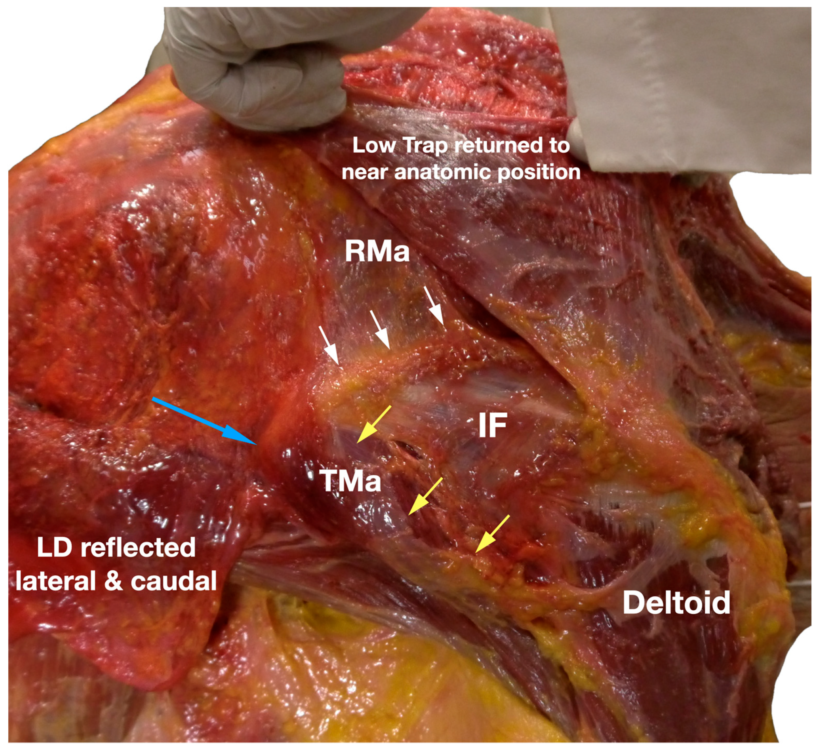Diagnostics 13 02601 g007 Diagnostics 13 02601 g007