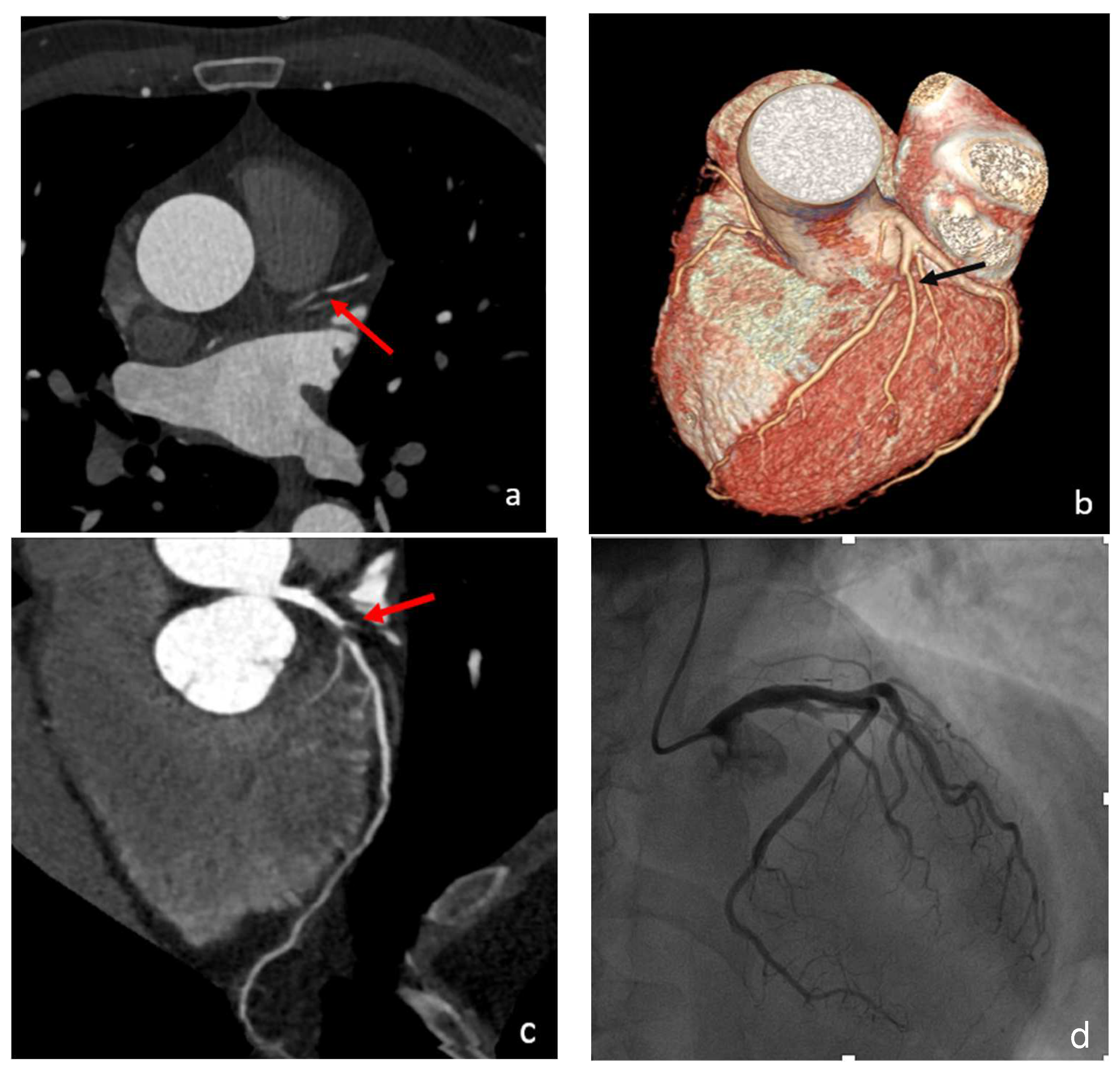 Diagnostics 13 02611 g001