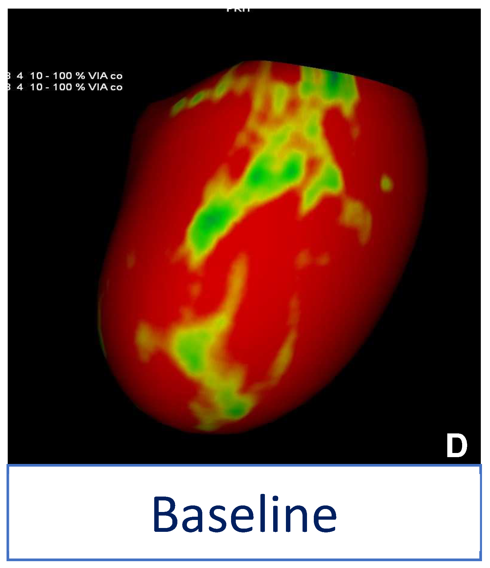 Diagnostics 13 02611 g003b
