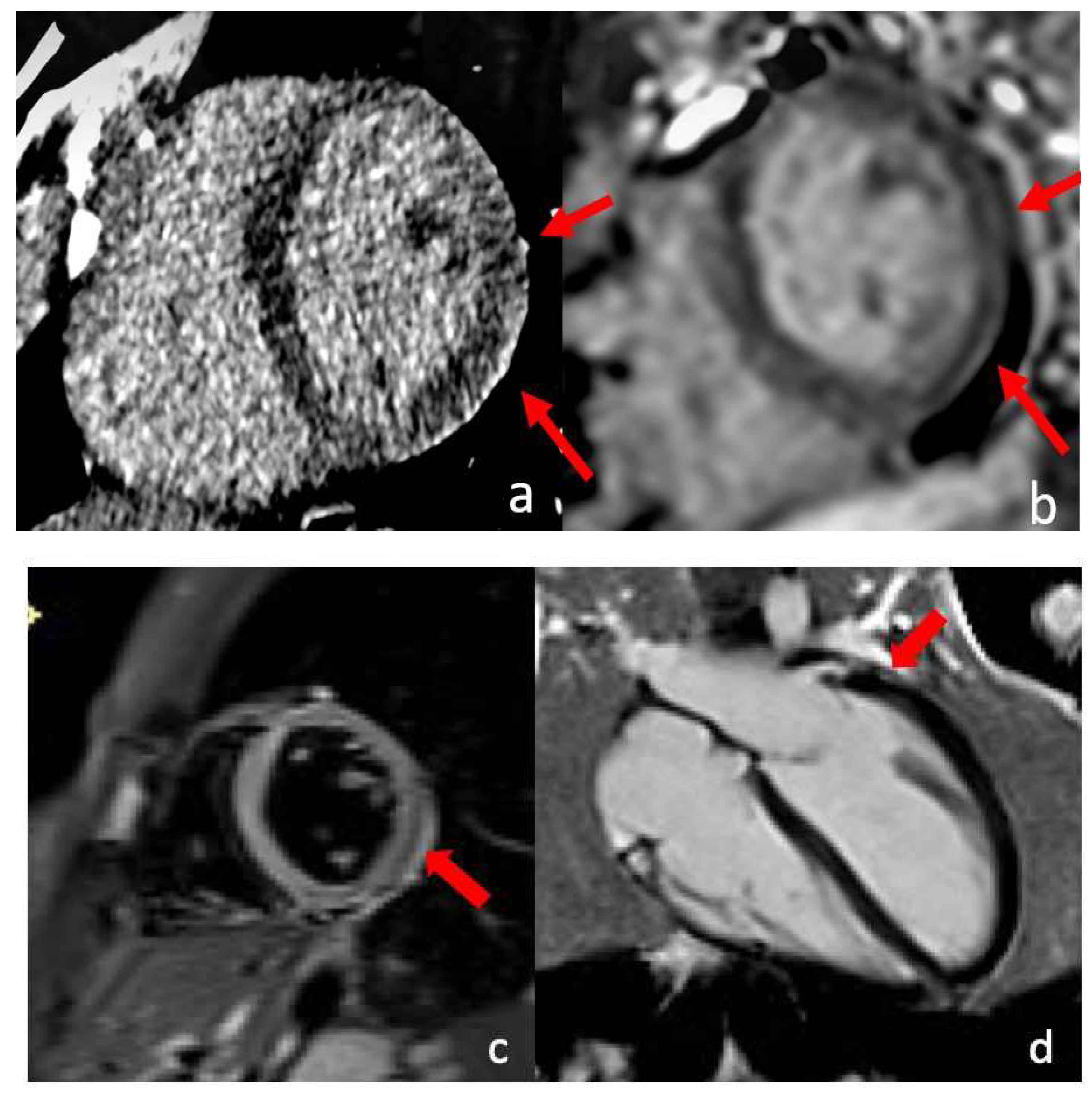 Diagnostics 13 02611 g010