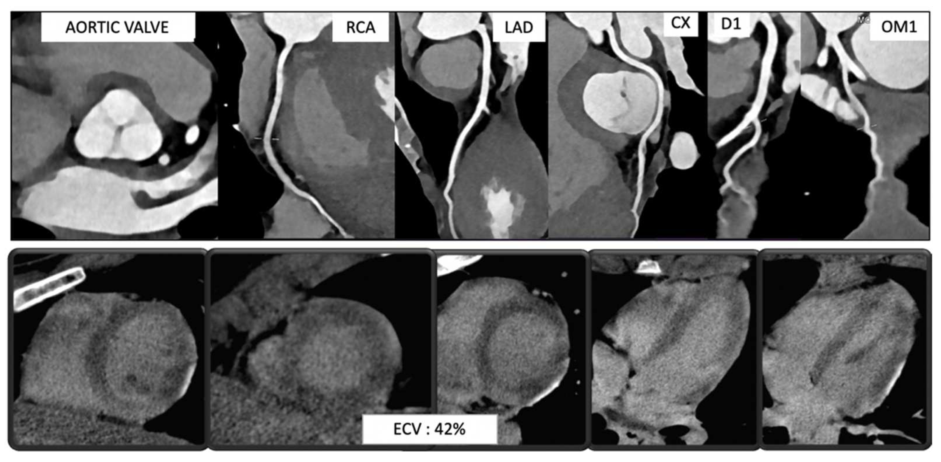 Diagnostics 13 02611 g011