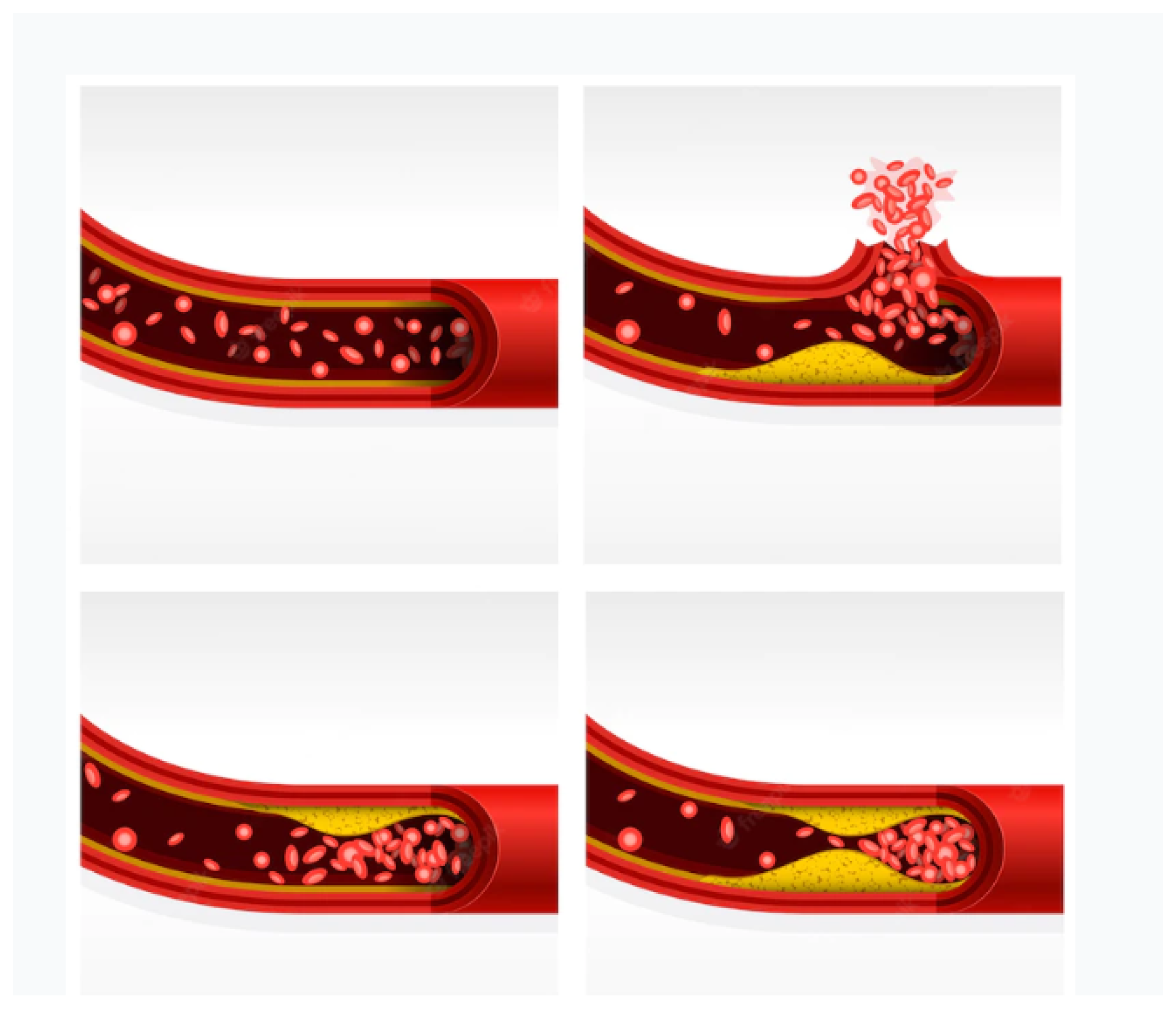 Diagnostics 13 02614 g003