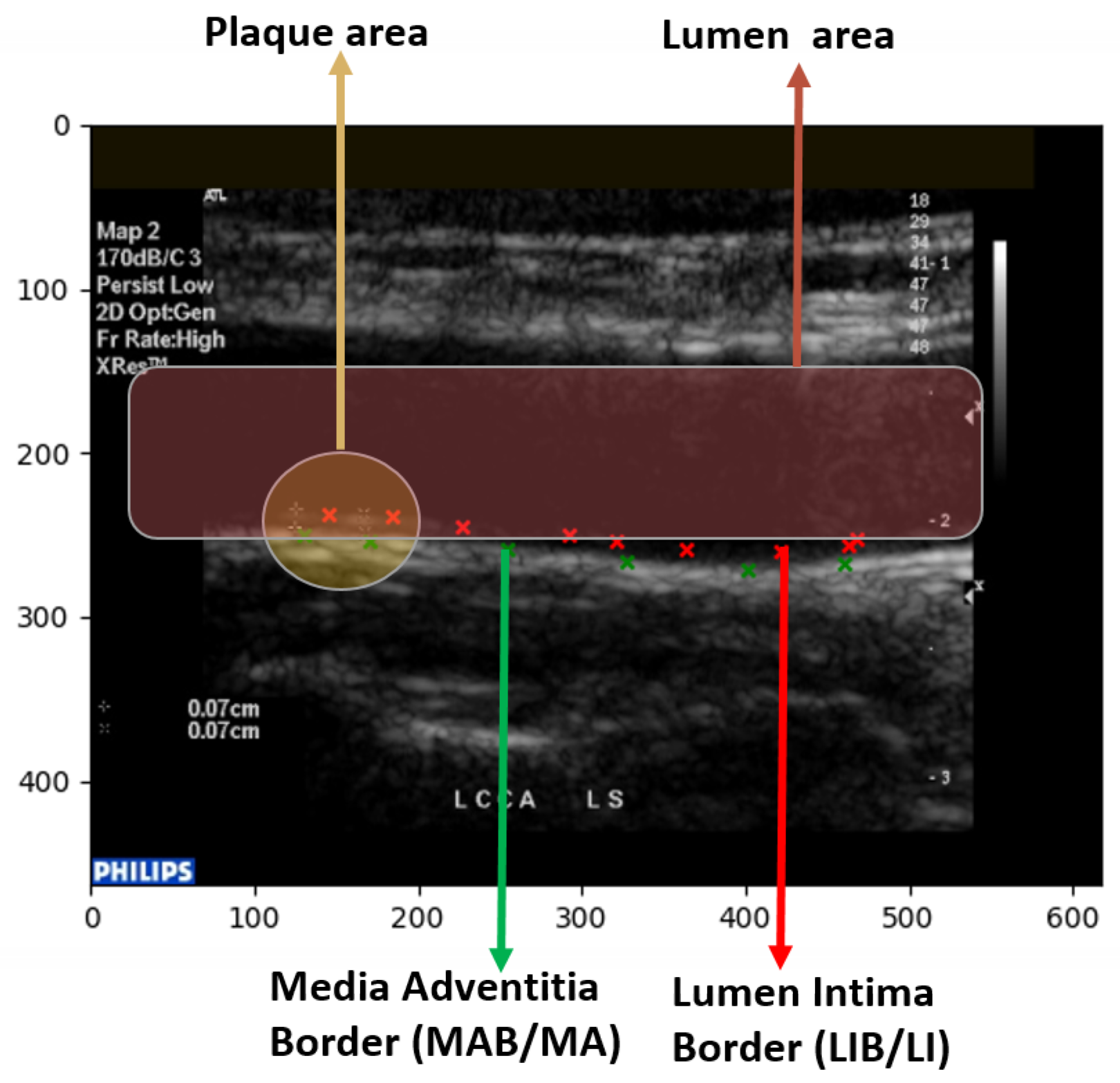 Diagnostics 13 02614 g010
