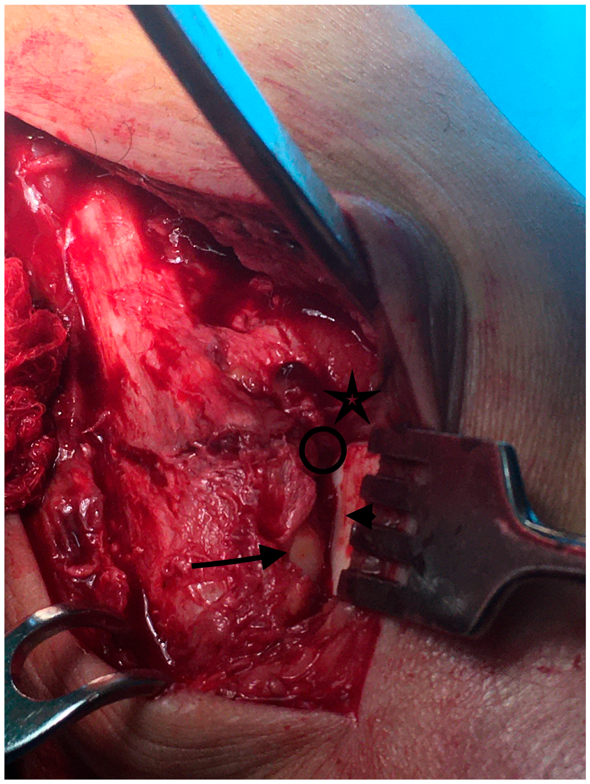 Diagnostics 13 02615 g001 Diagnostics 13 02615 g001