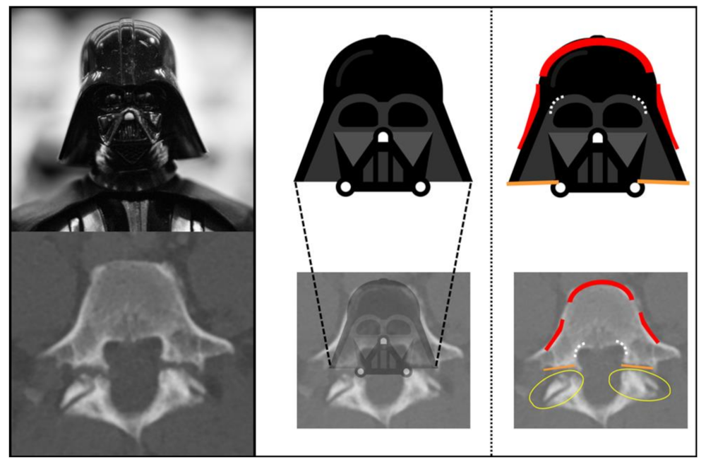Diagnostics 13 02616 g001