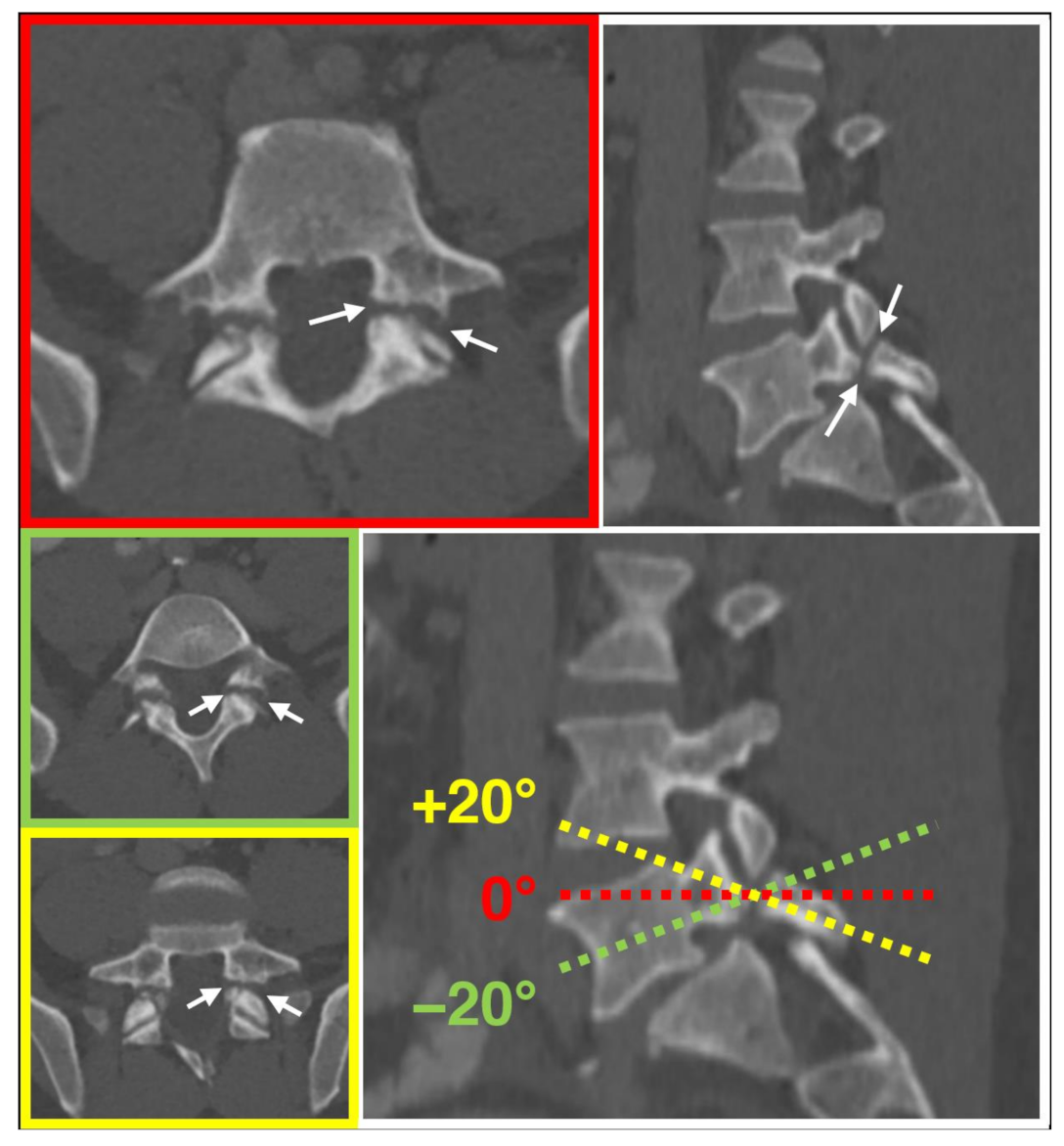 Diagnostics 13 02616 g002