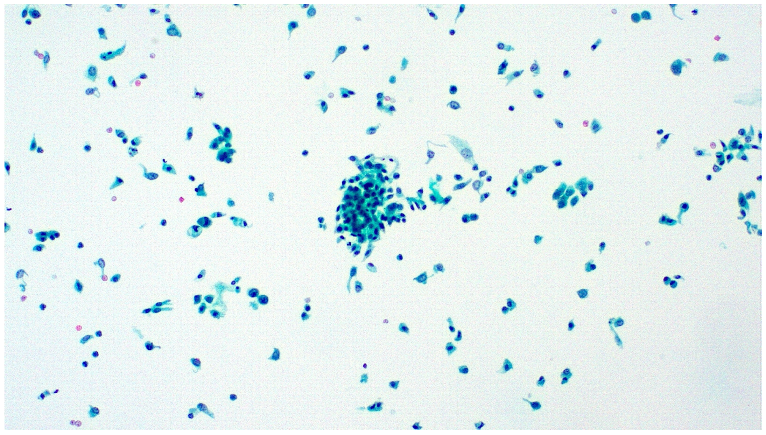 Diagnostics 13 02625 g005 Diagnostics 13 02625 g005