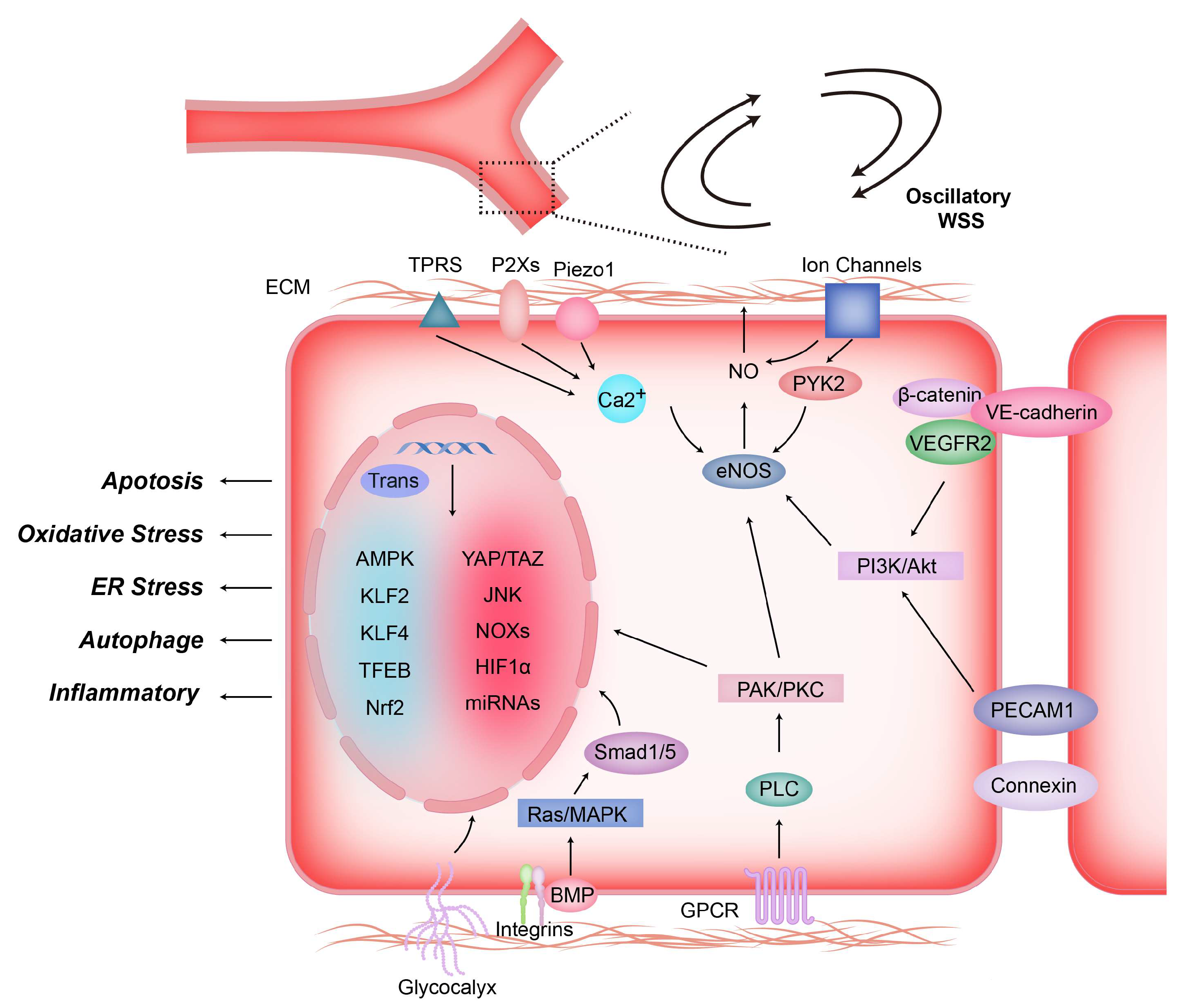 Diagnostics 13 02632 g003 Diagnostics 13 02632 g003