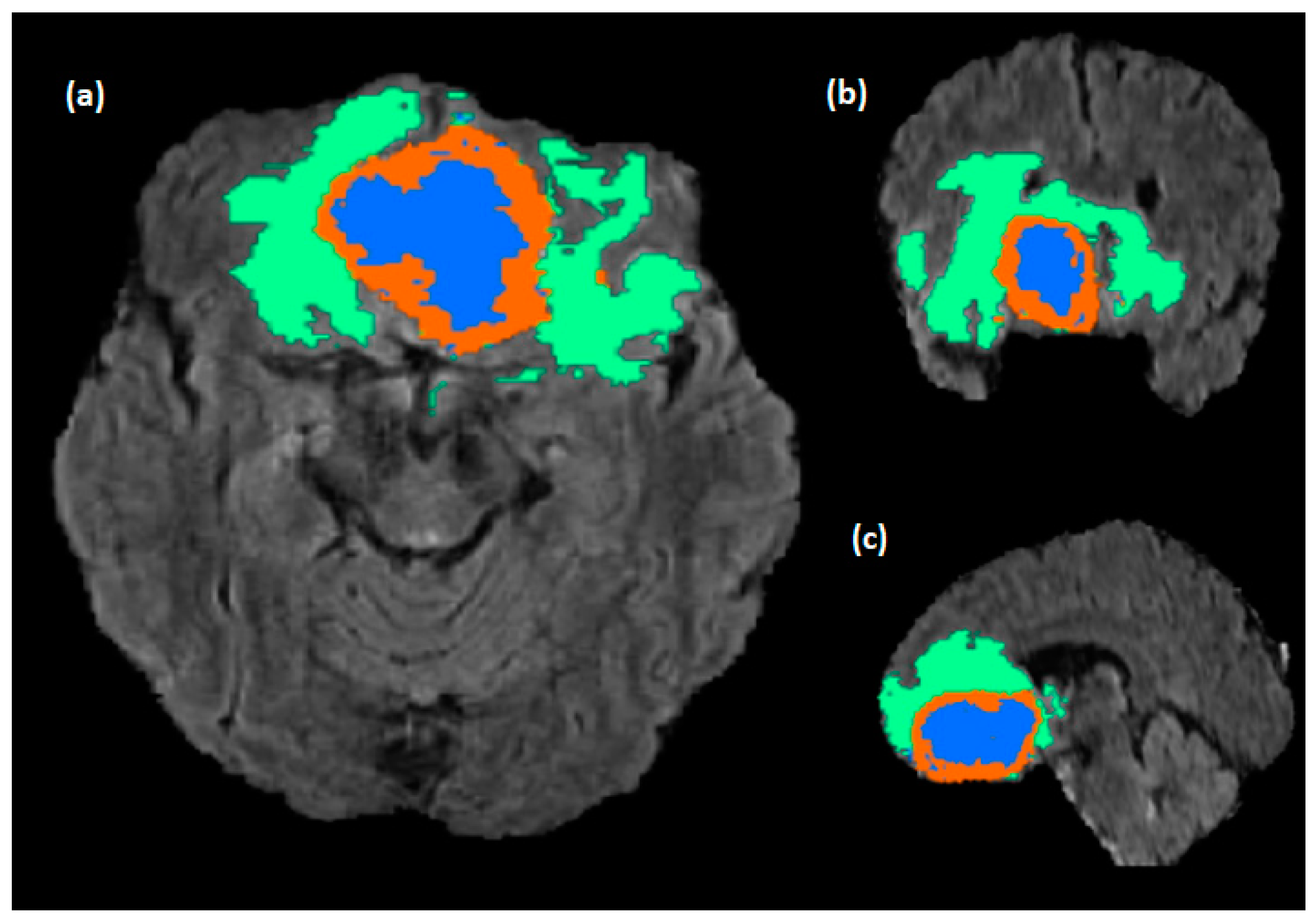 Diagnostics 13 02633 g001