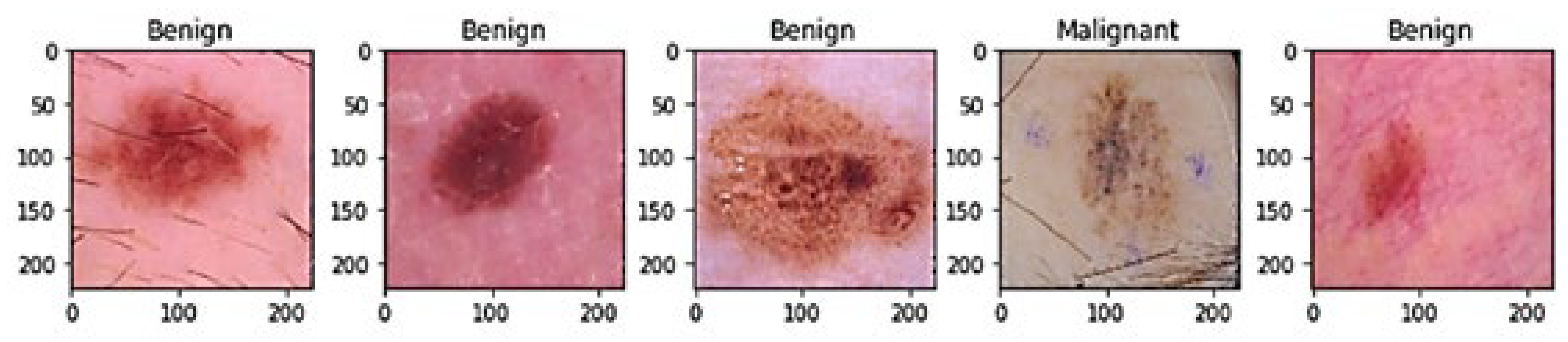 Diagnostics 13 02635 g001