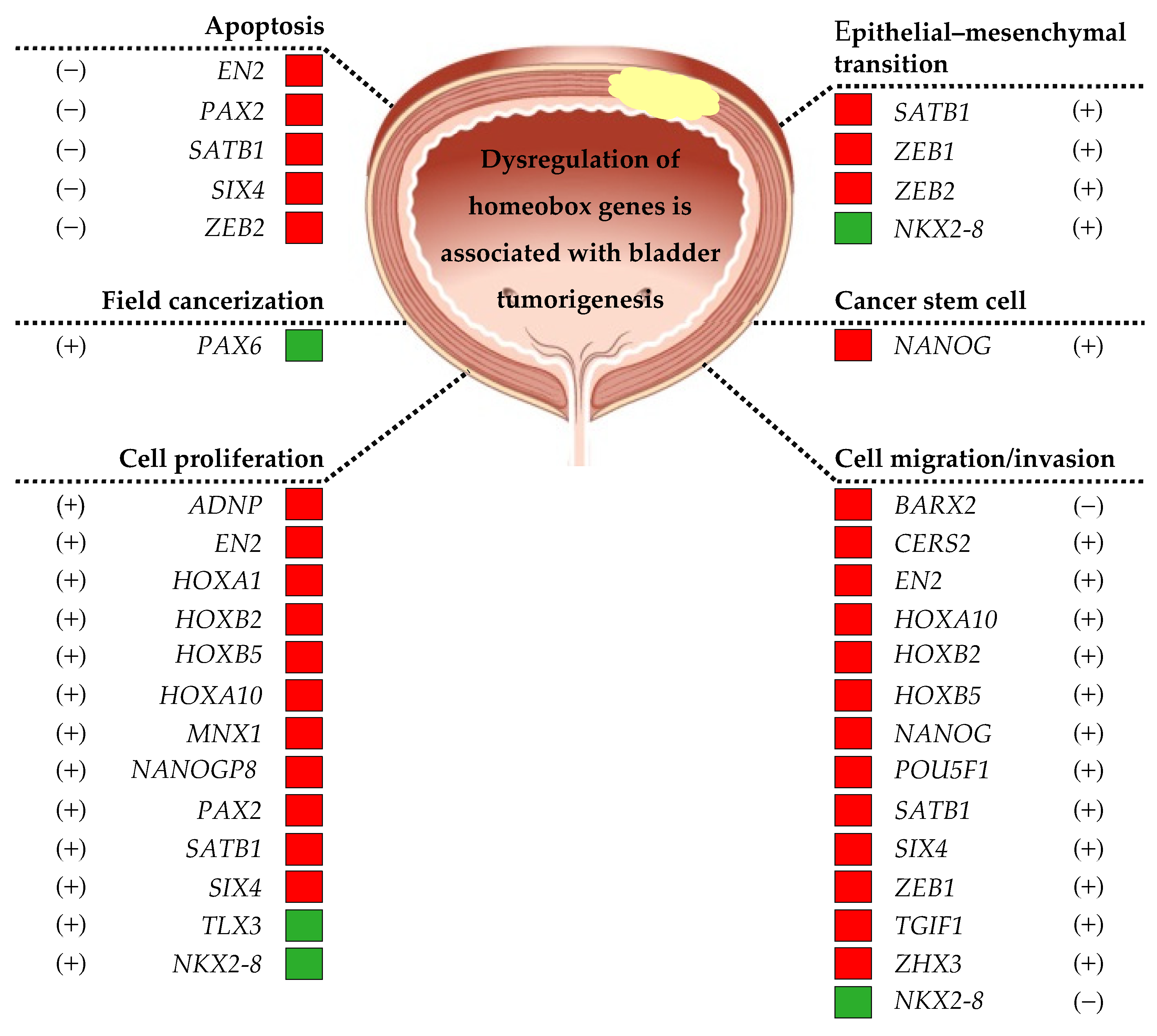 Diagnostics 13 02641 g002