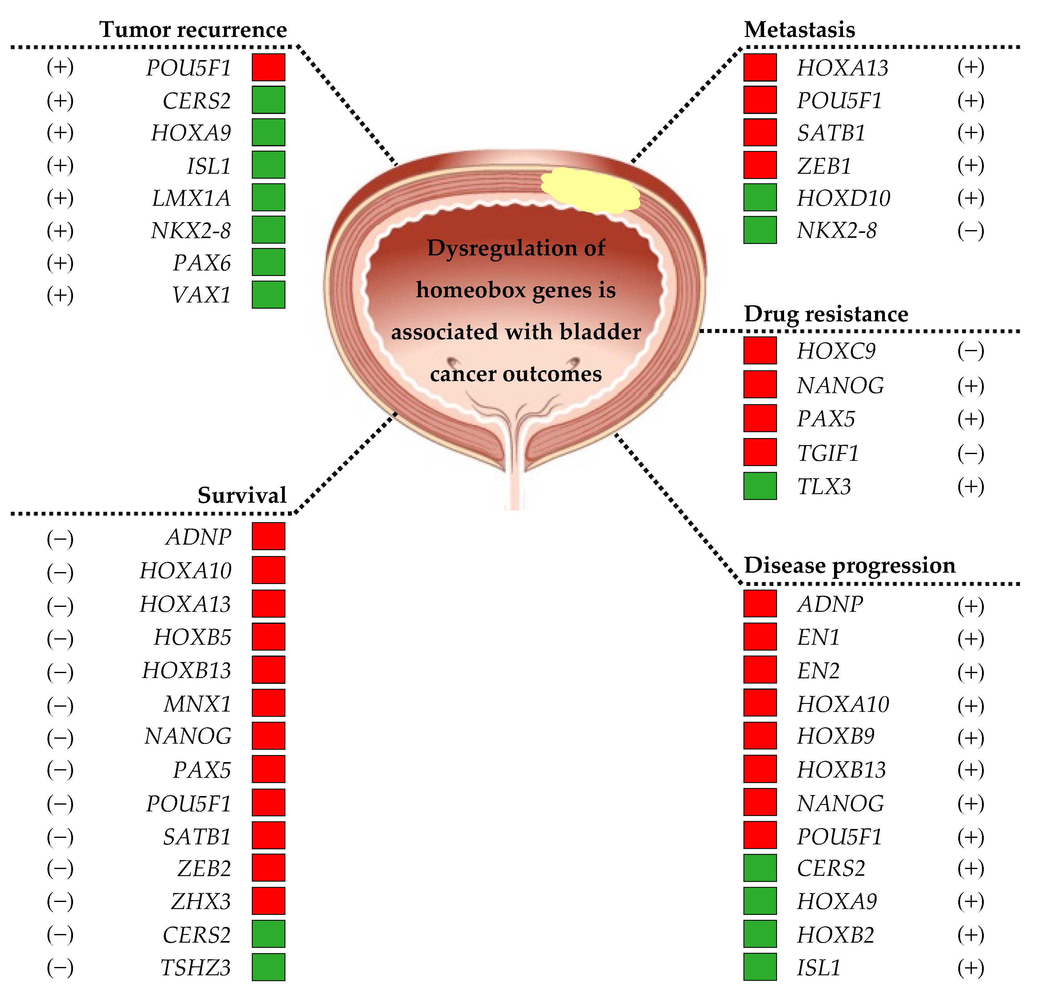 Diagnostics 13 02641 g003