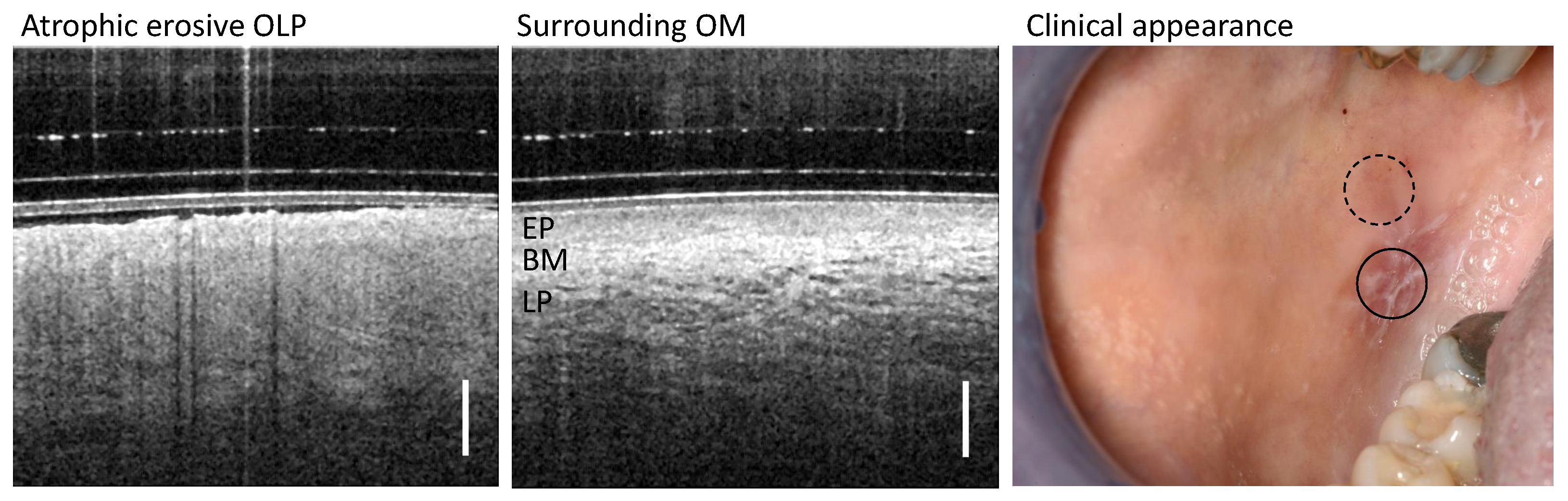 Diagnostics 13 02642 g002 Diagnostics 13 02642 g002