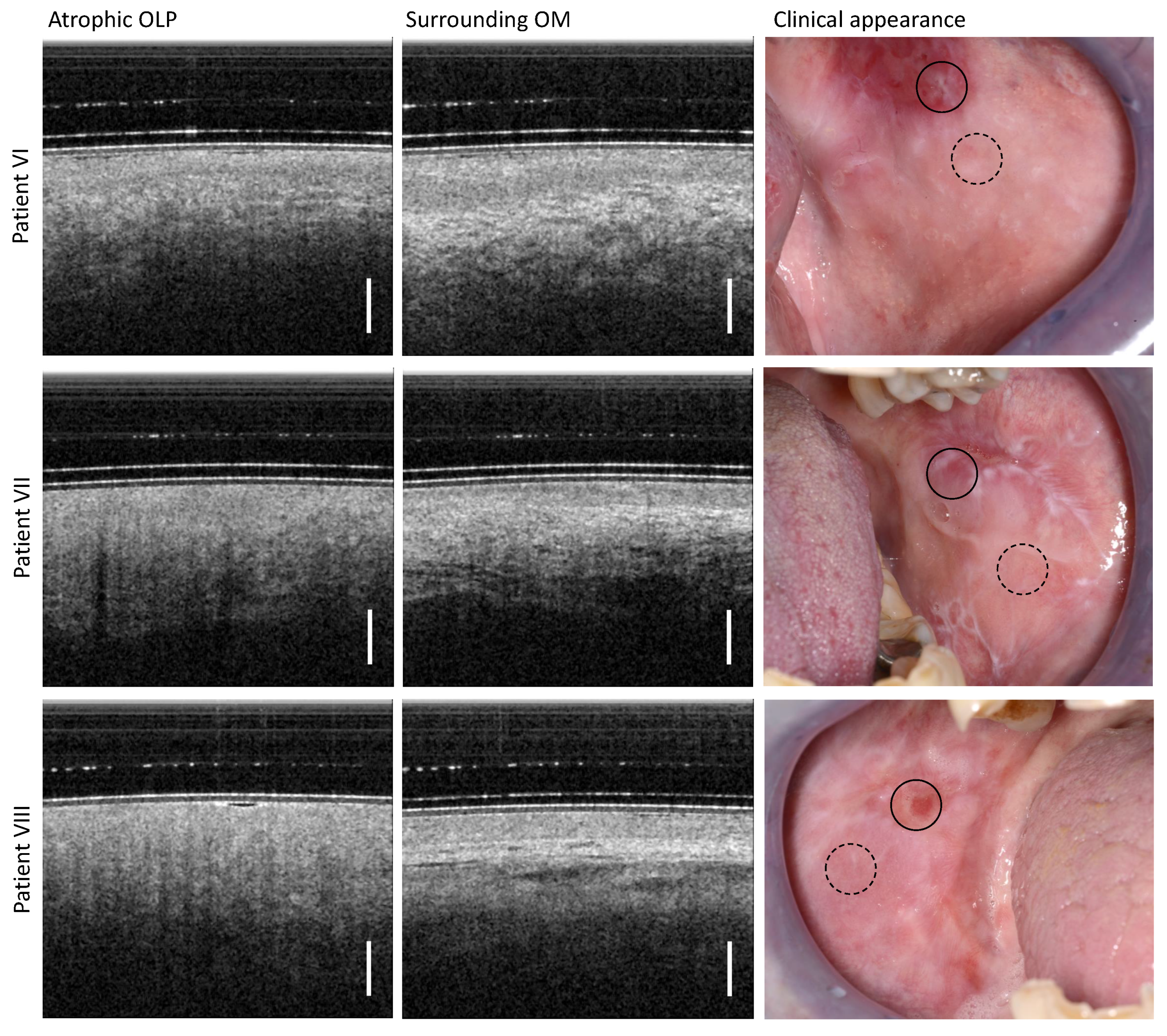 Diagnostics 13 02642 g005 Diagnostics 13 02642 g005