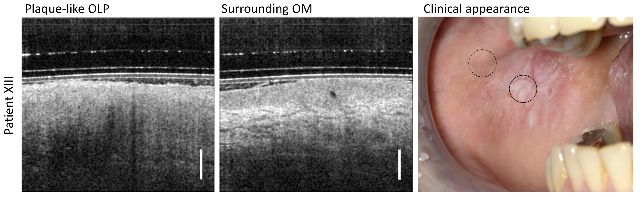 Diagnostics 13 02642 g007 Diagnostics 13 02642 g007