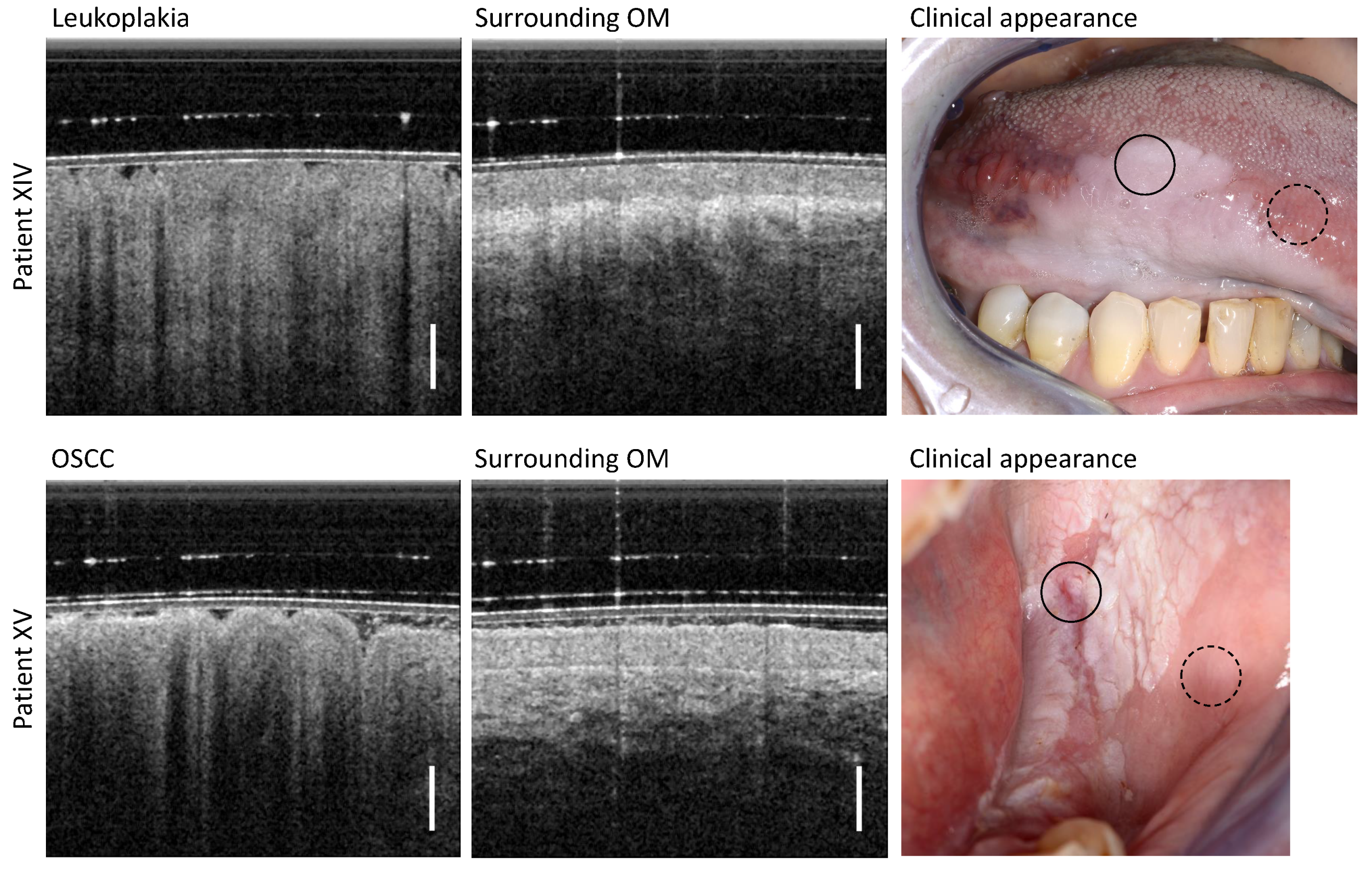 Diagnostics 13 02642 g008 Diagnostics 13 02642 g008