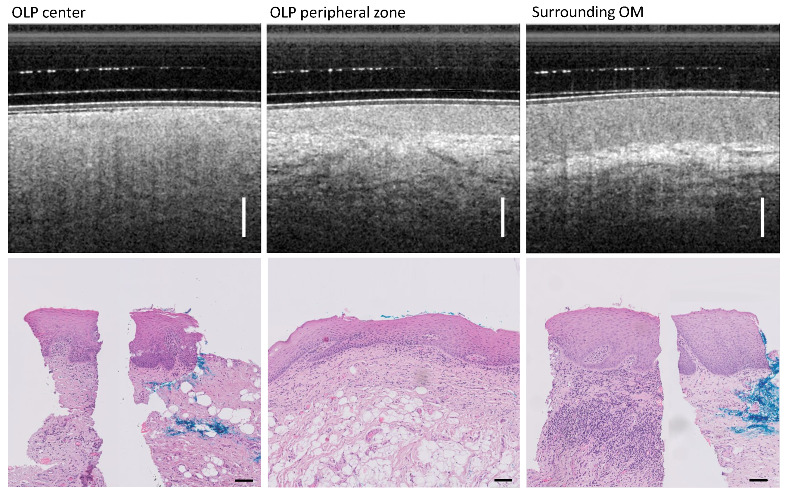 Diagnostics 13 02642 g009 Diagnostics 13 02642 g009