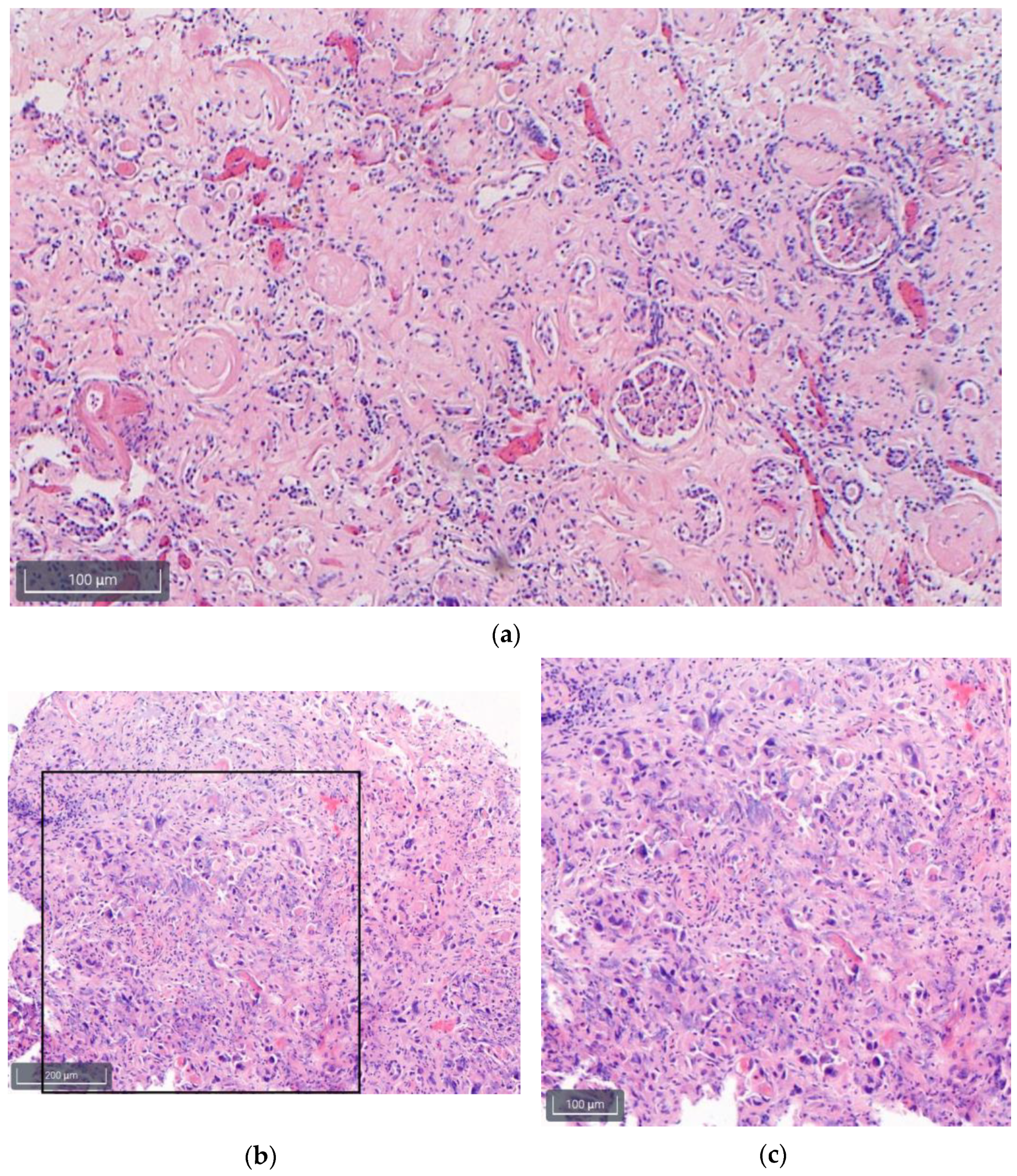 Diagnostics 13 02643 g002