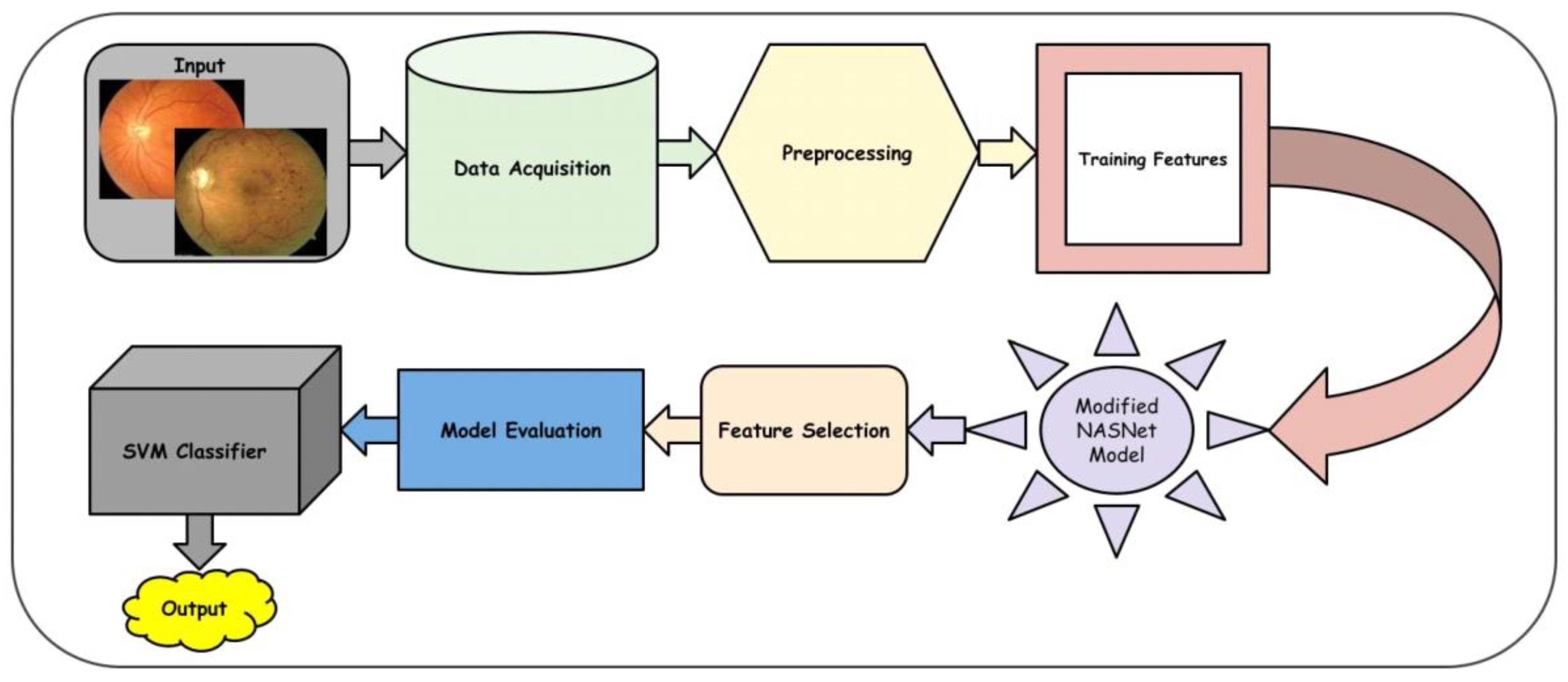 Diagnostics 13 02645 g002