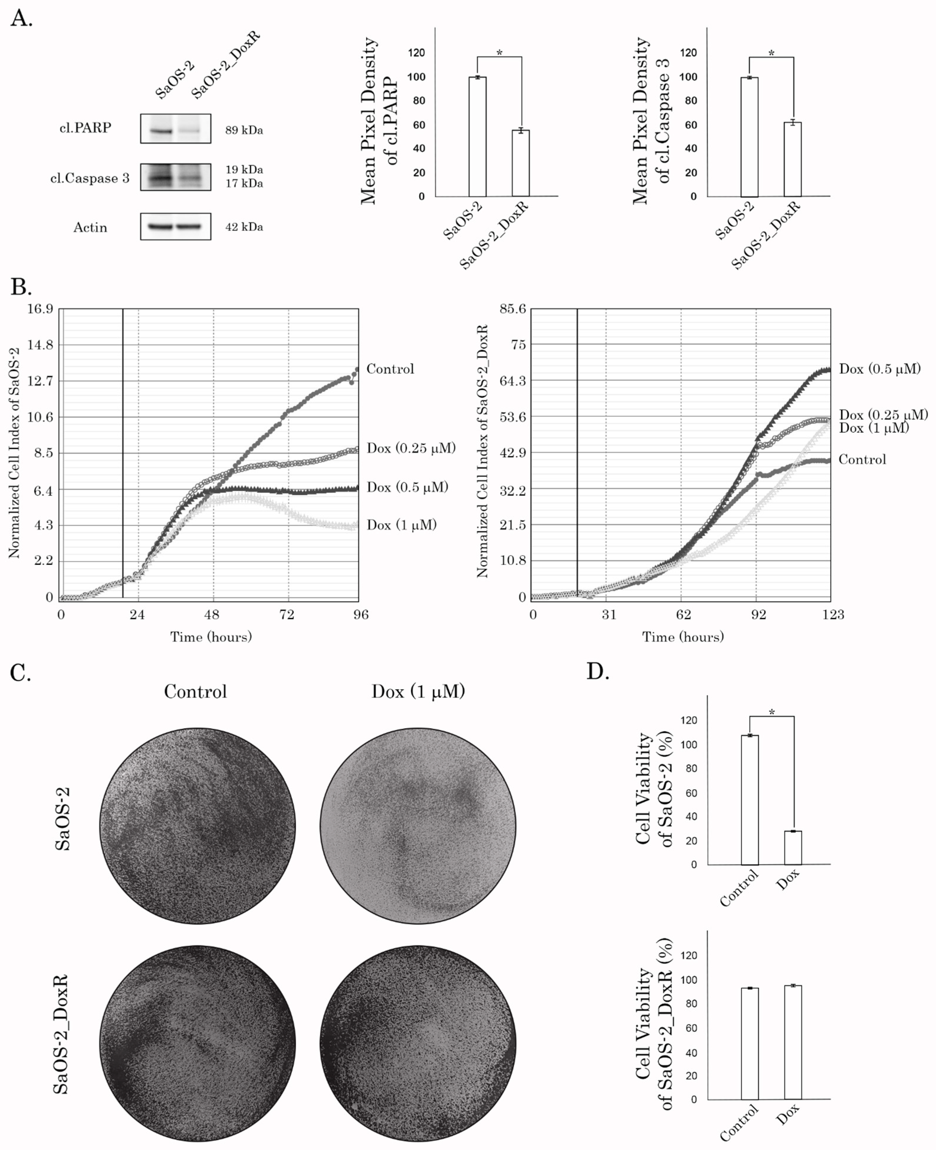 Diagnostics 13 02646 g002 Diagnostics 13 02646 g002