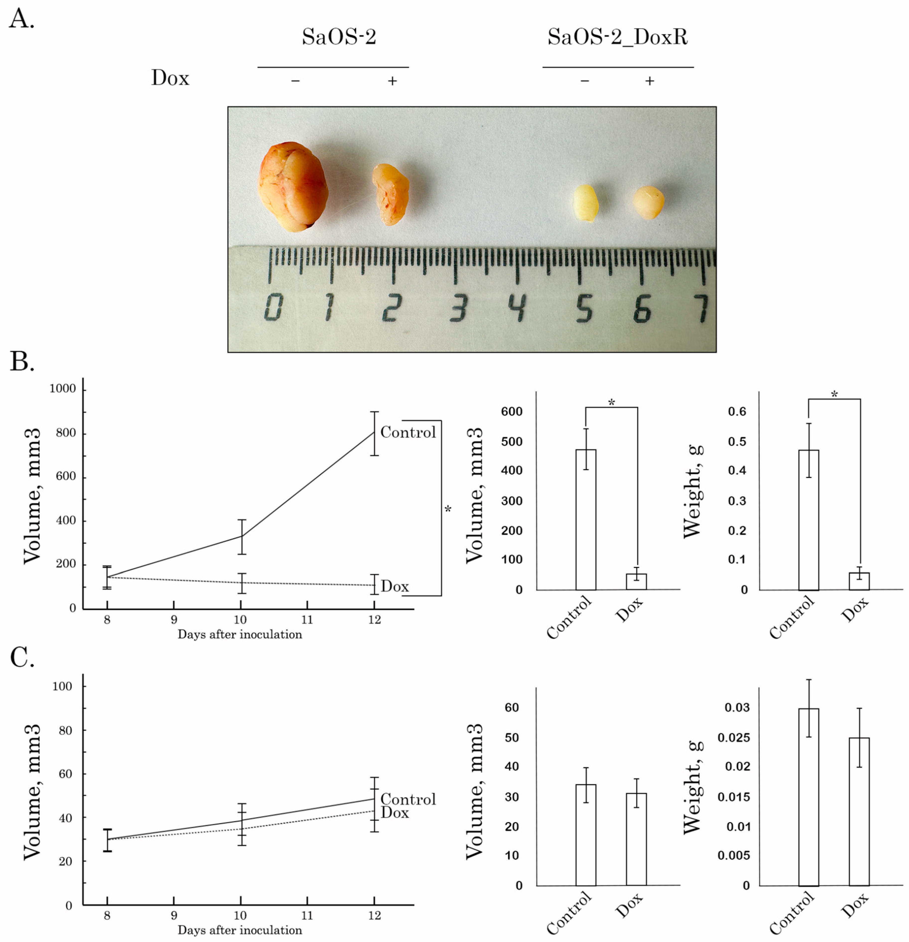 Diagnostics 13 02646 g007 Diagnostics 13 02646 g007