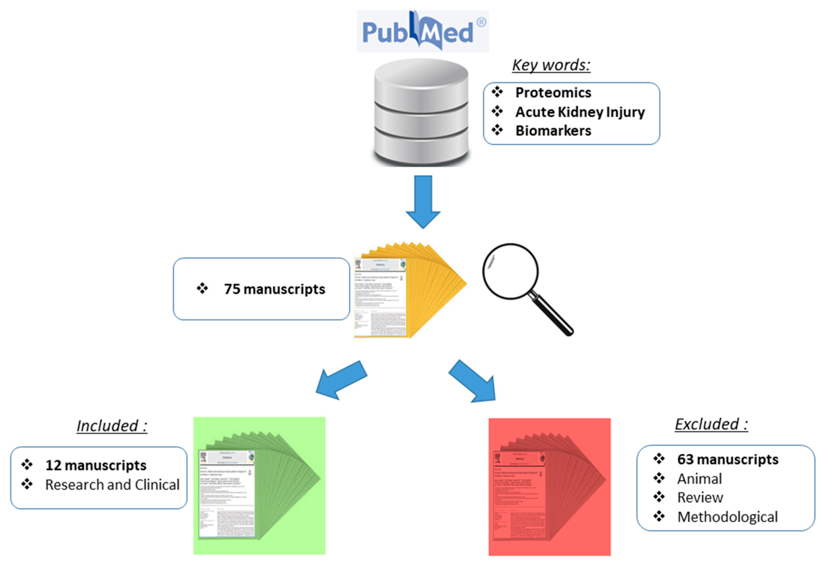 Diagnostics 13 02648 g001
