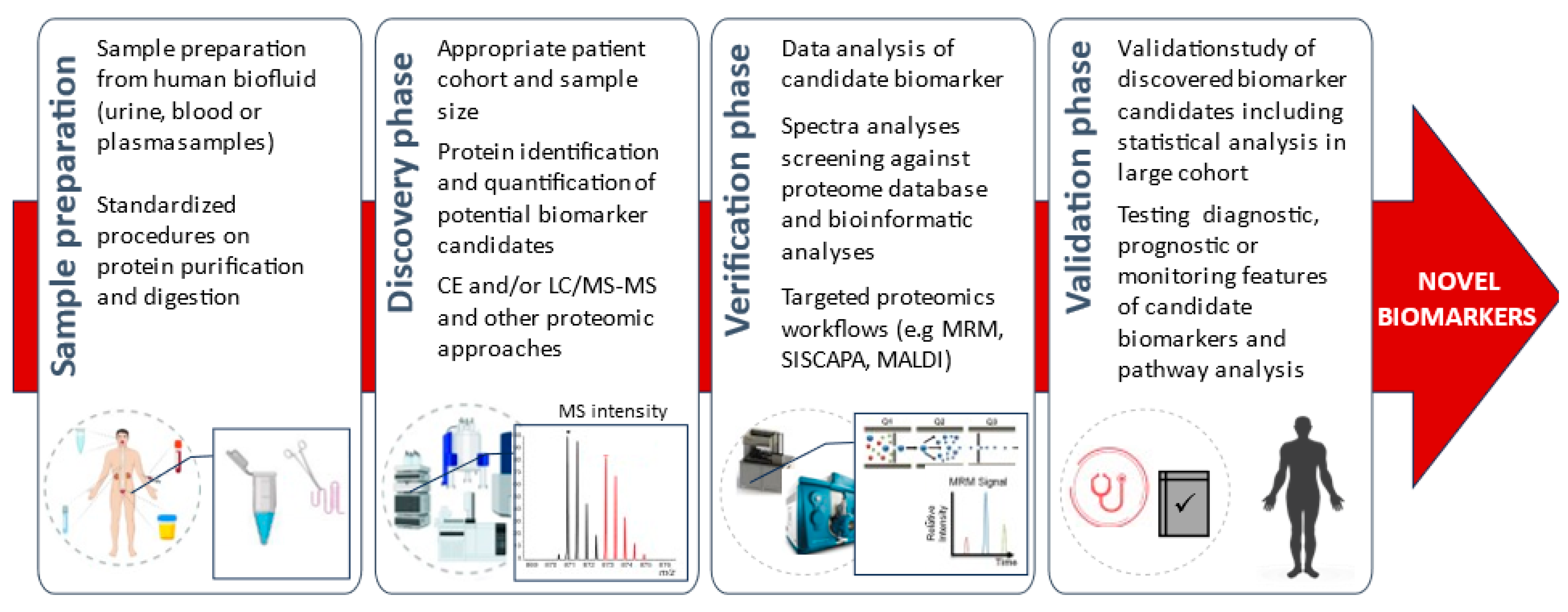 Diagnostics 13 02648 g003