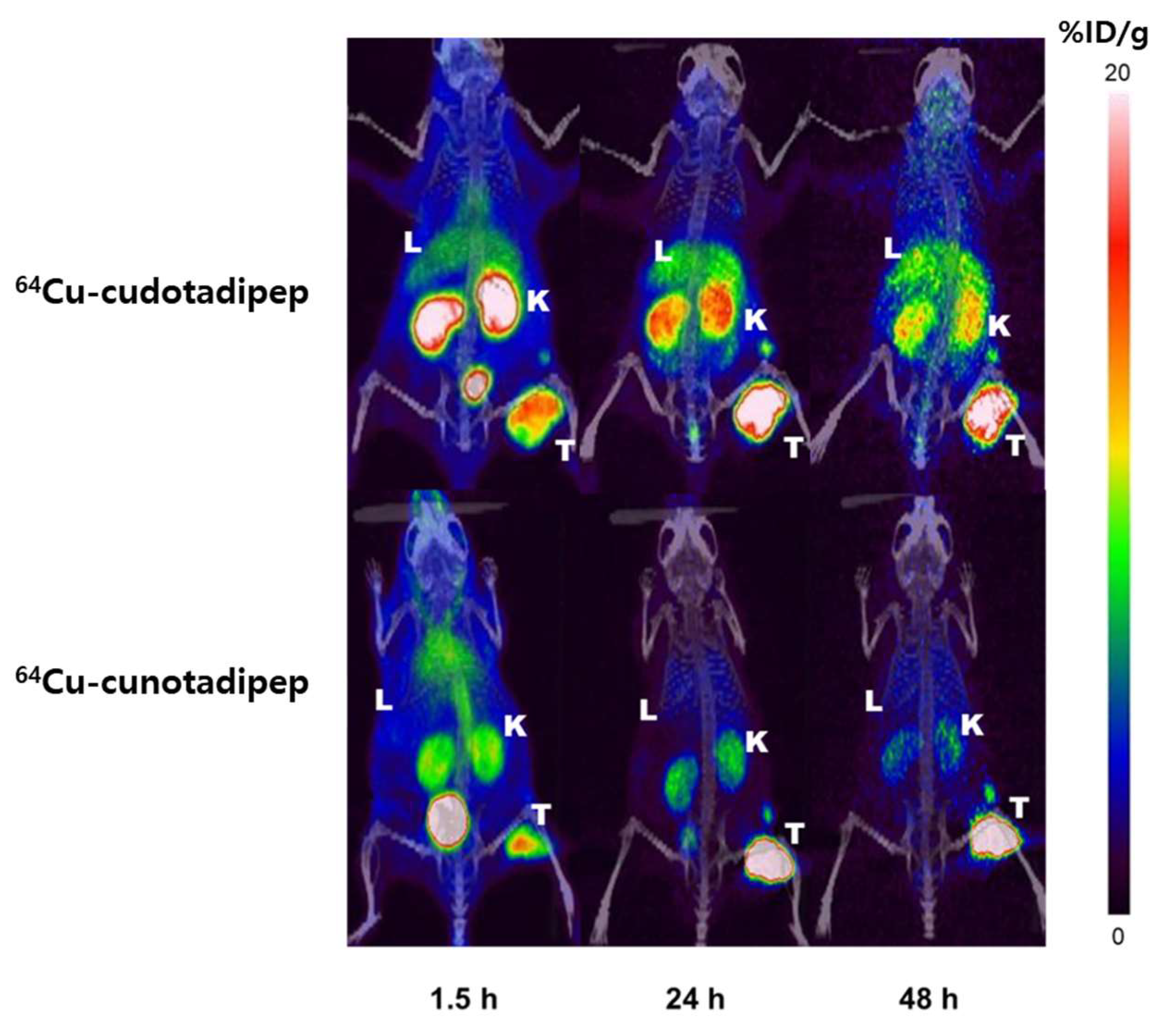 Diagnostics 13 02649 g004
