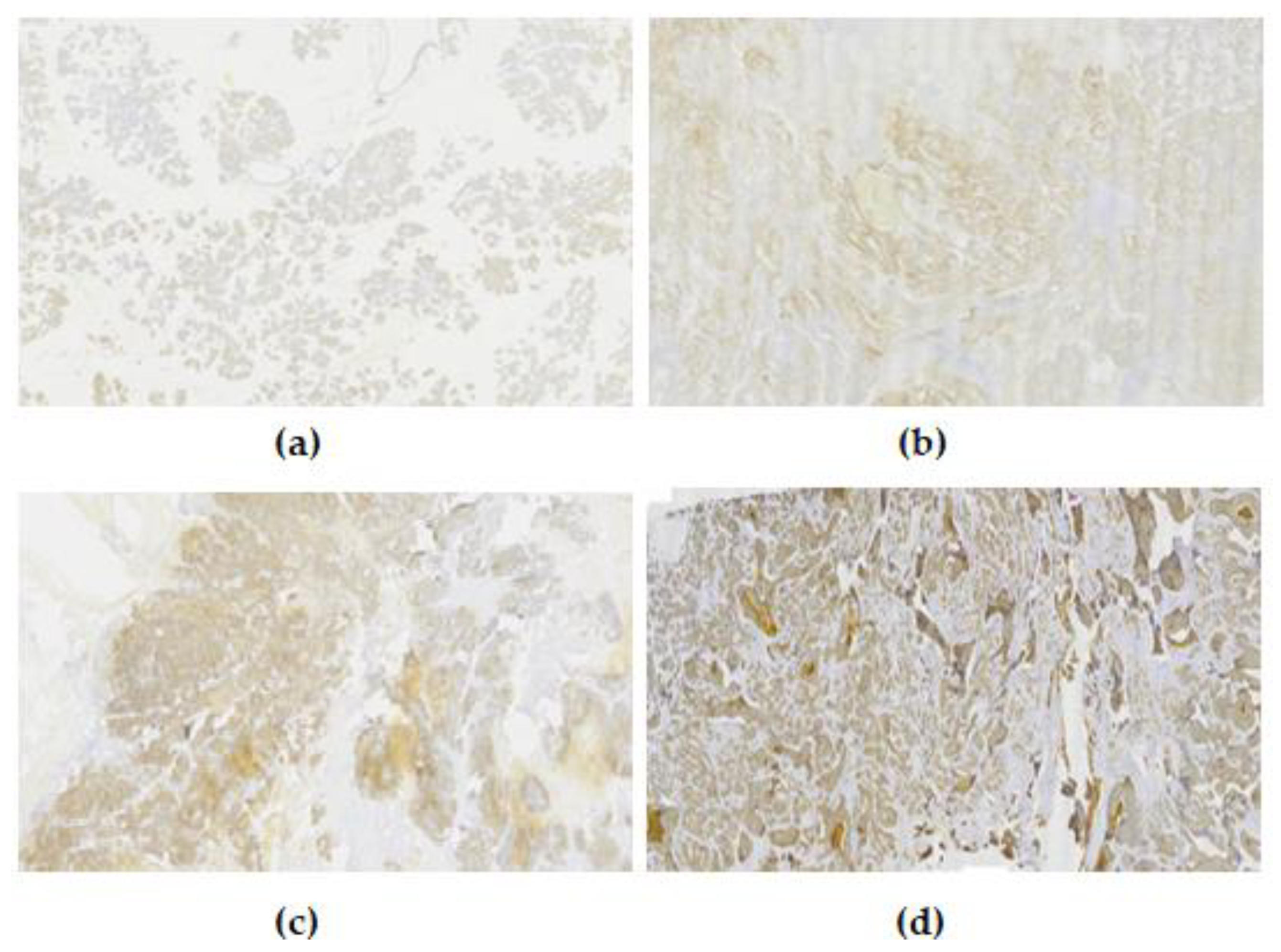 Diagnostics 13 02652 g001