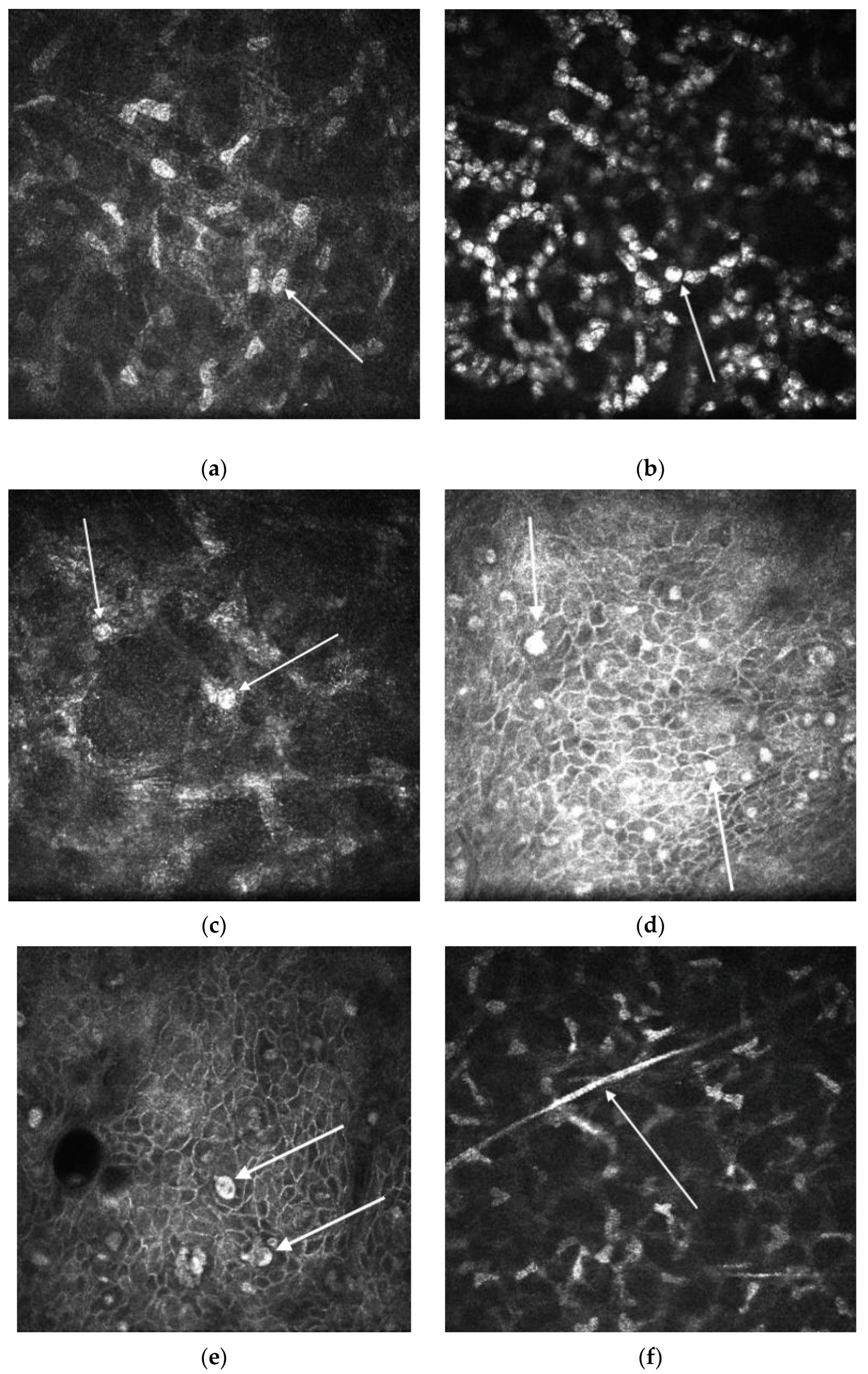 Diagnostics 13 02655 g002 Diagnostics 13 02655 g002